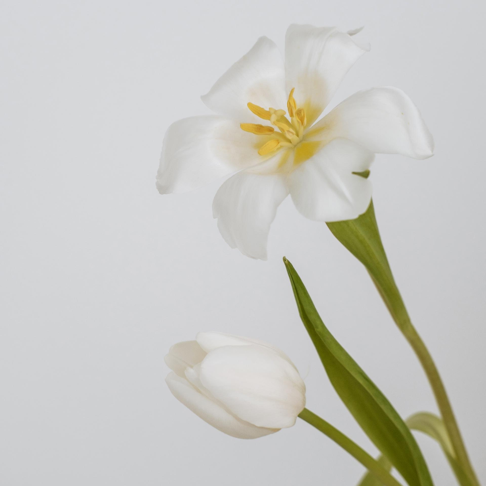 Feedback. Photographer Cologne Bonn Europe Anna Ketova