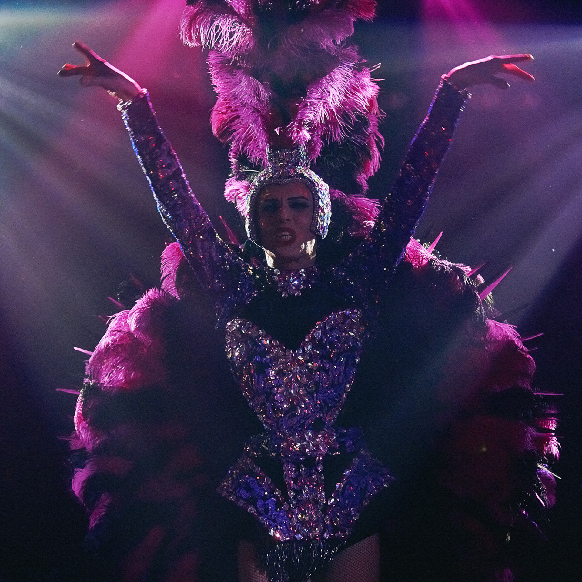 secular reporting/nightlife