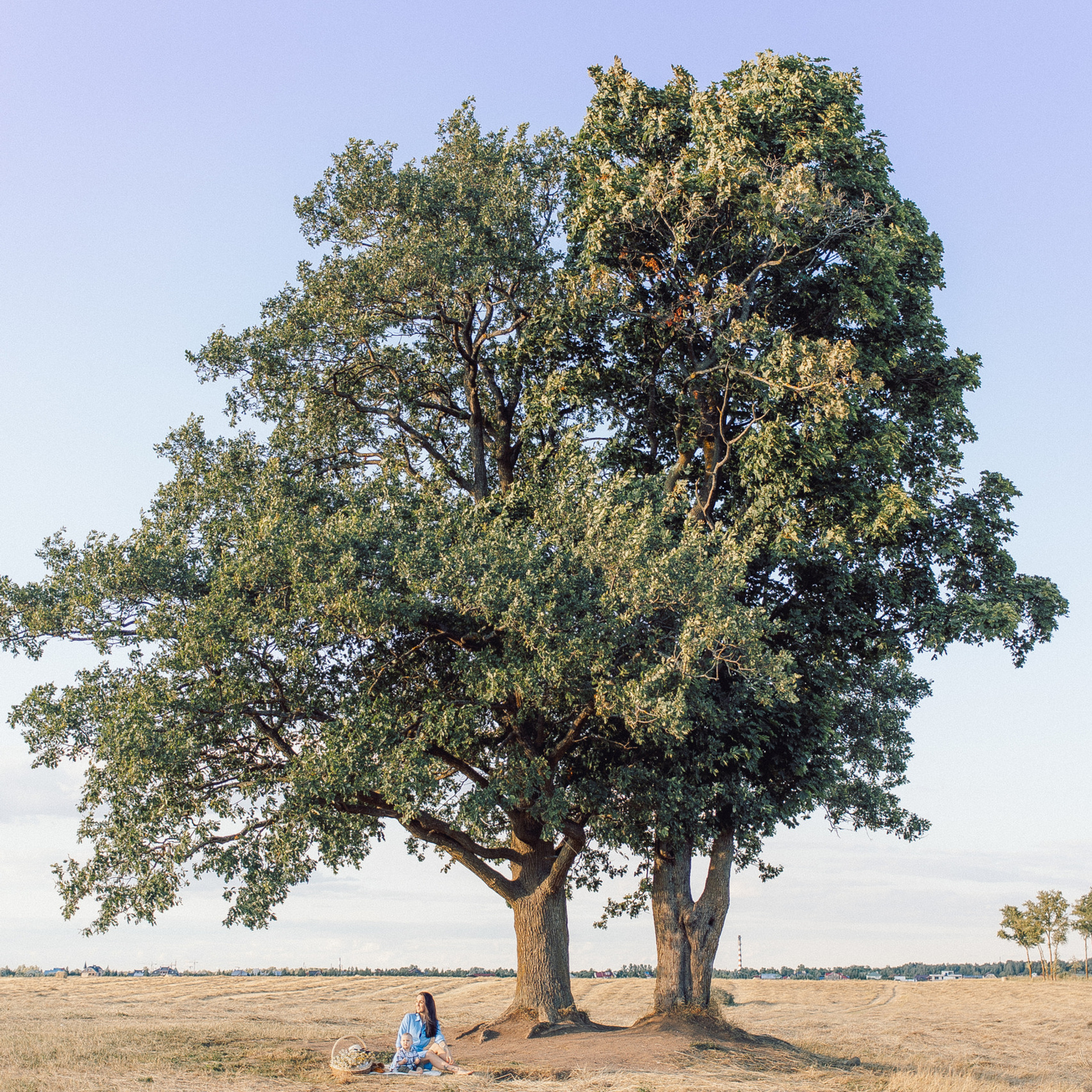 Отзывы. Фотограф в Санкт-Петербурге