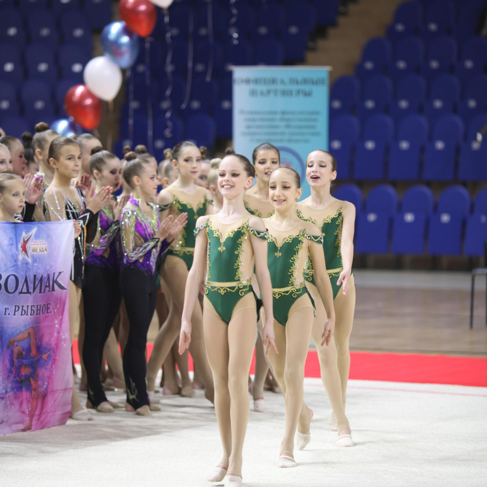 Отзывы. Спортивный фотограф Александр Васильев. RG и AGG