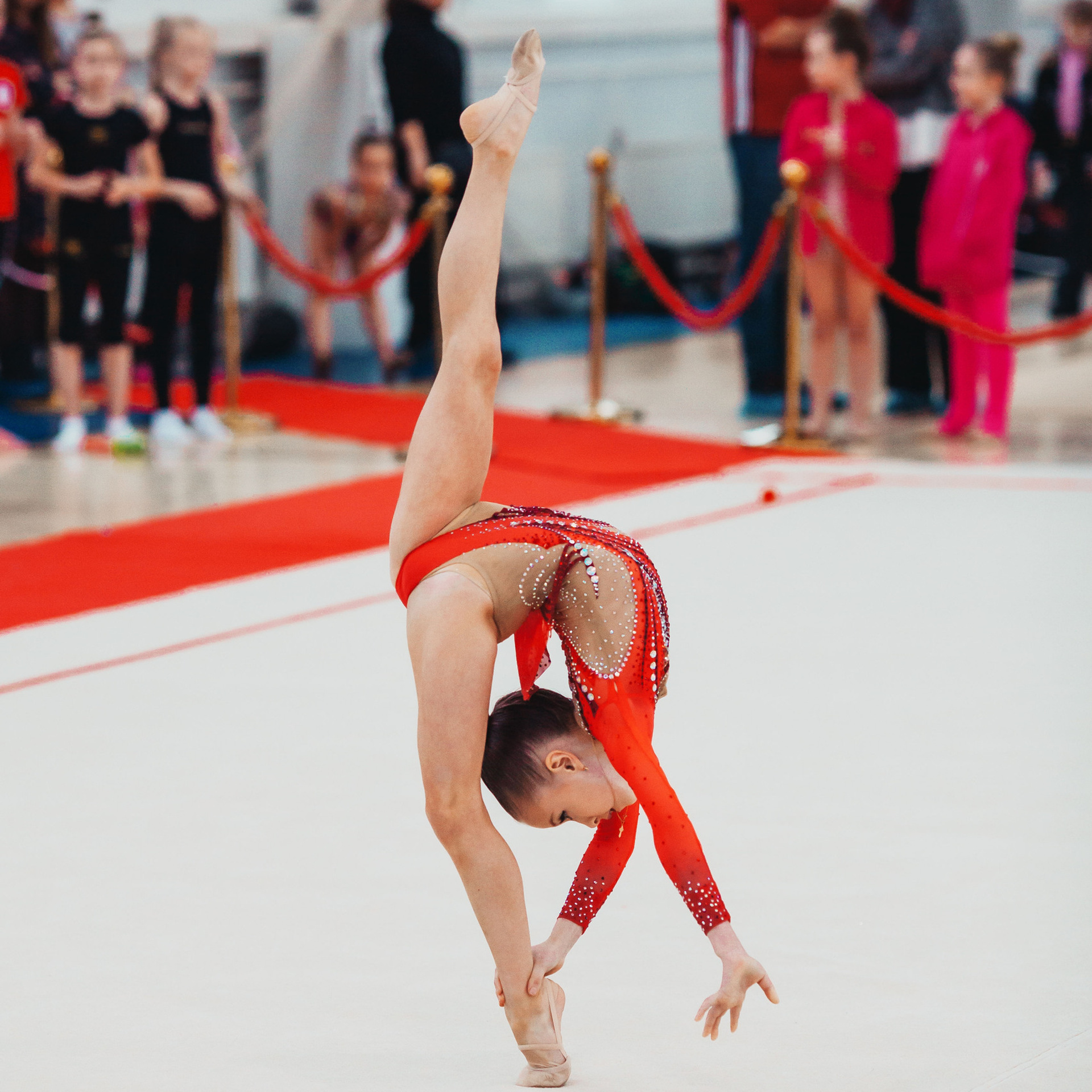 Отзывы. Спортивный фотограф Александр Васильев. RG и AGG