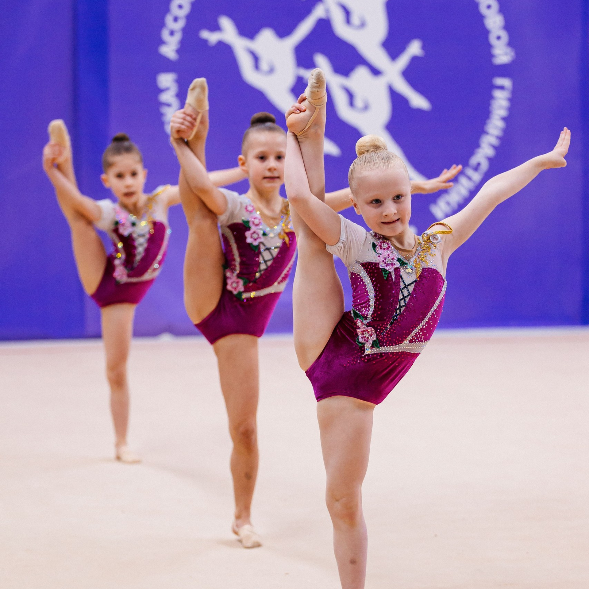 Отзывы. Спортивный фотограф Александр Васильев