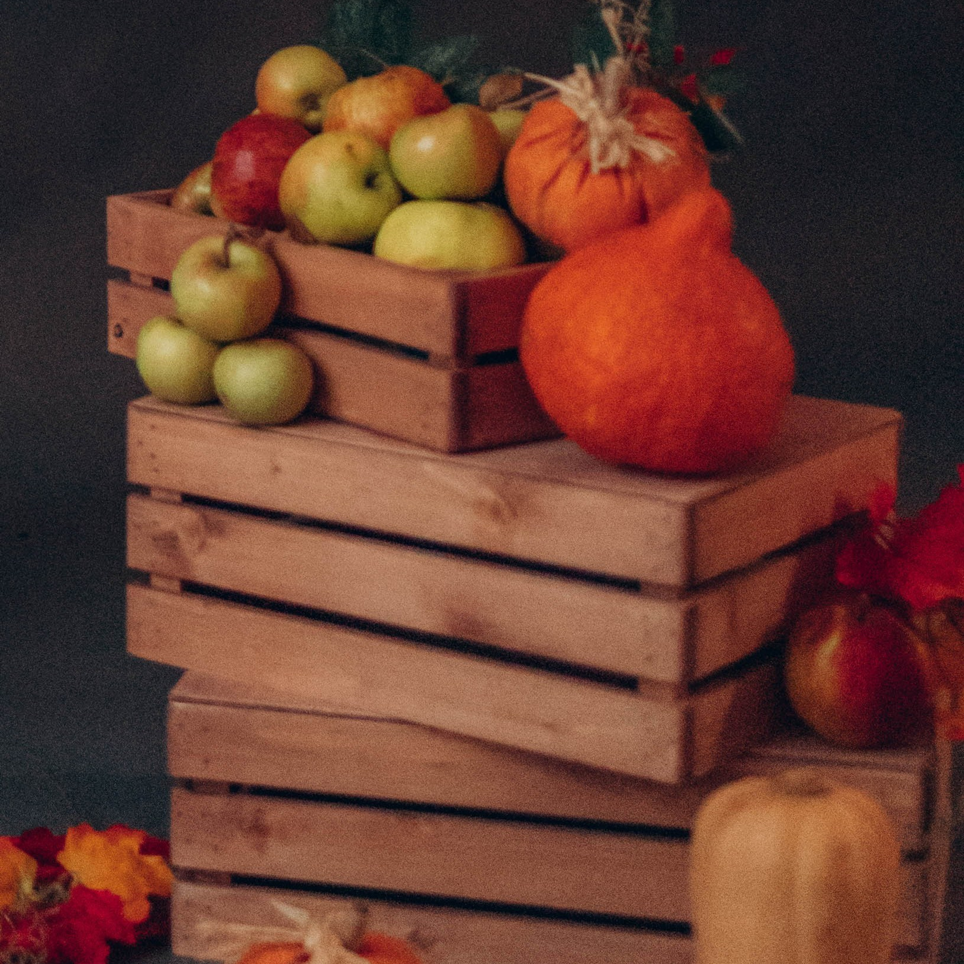 Отзывы. Семейный фотограф Москва Калининград СПб