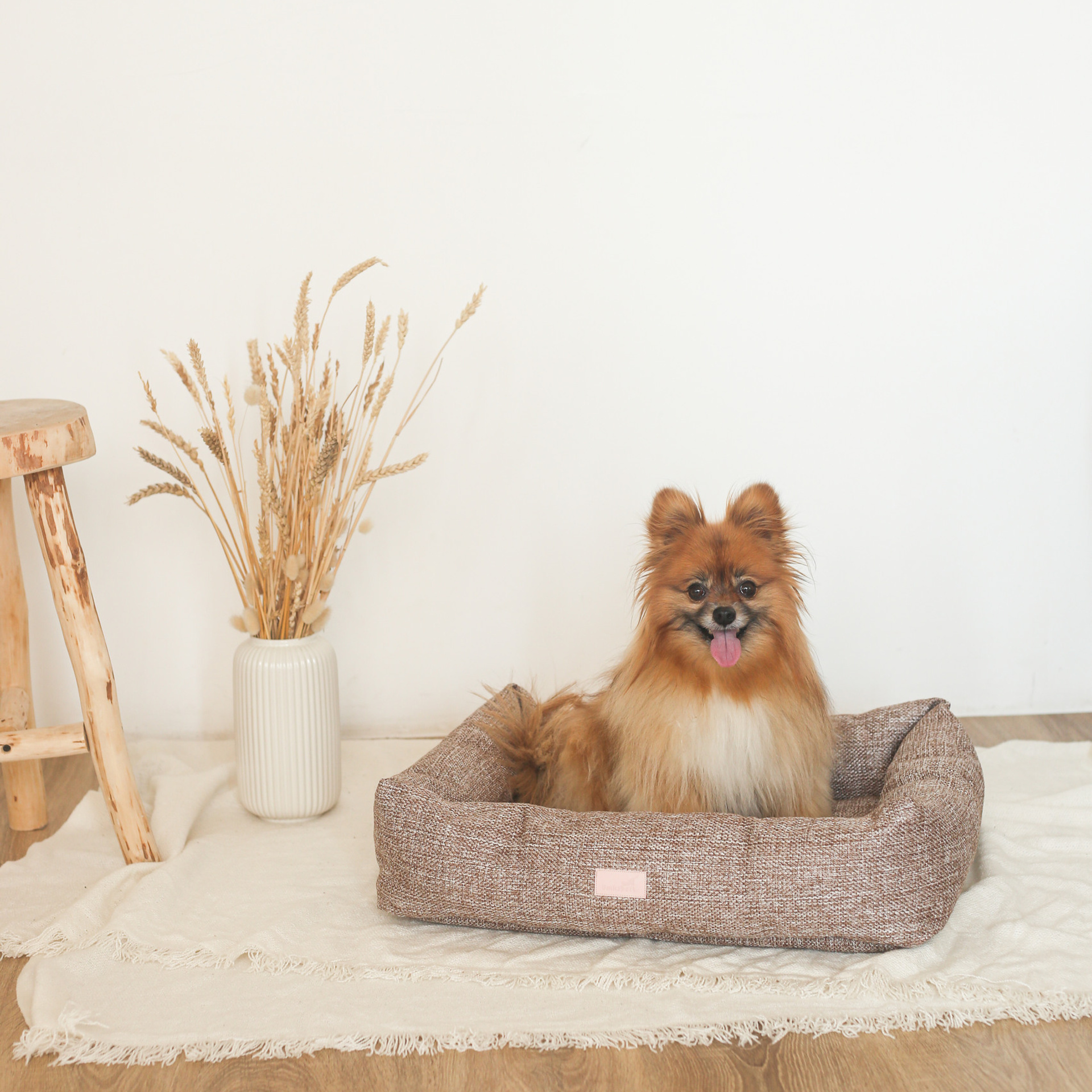 Отзывы о фотостудии