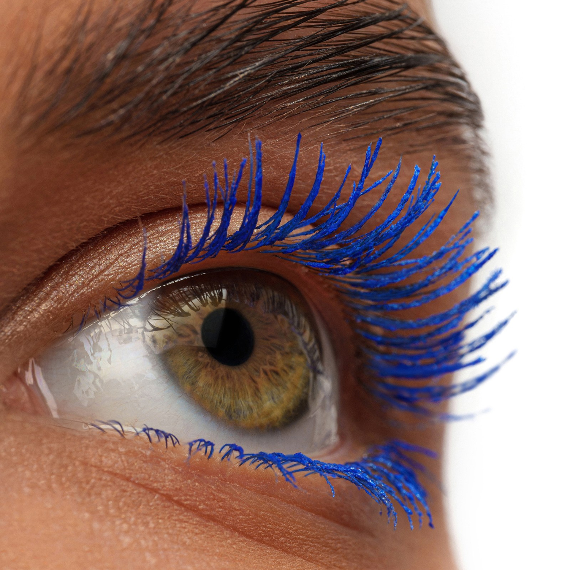 Vivienne Sabo x Letoile