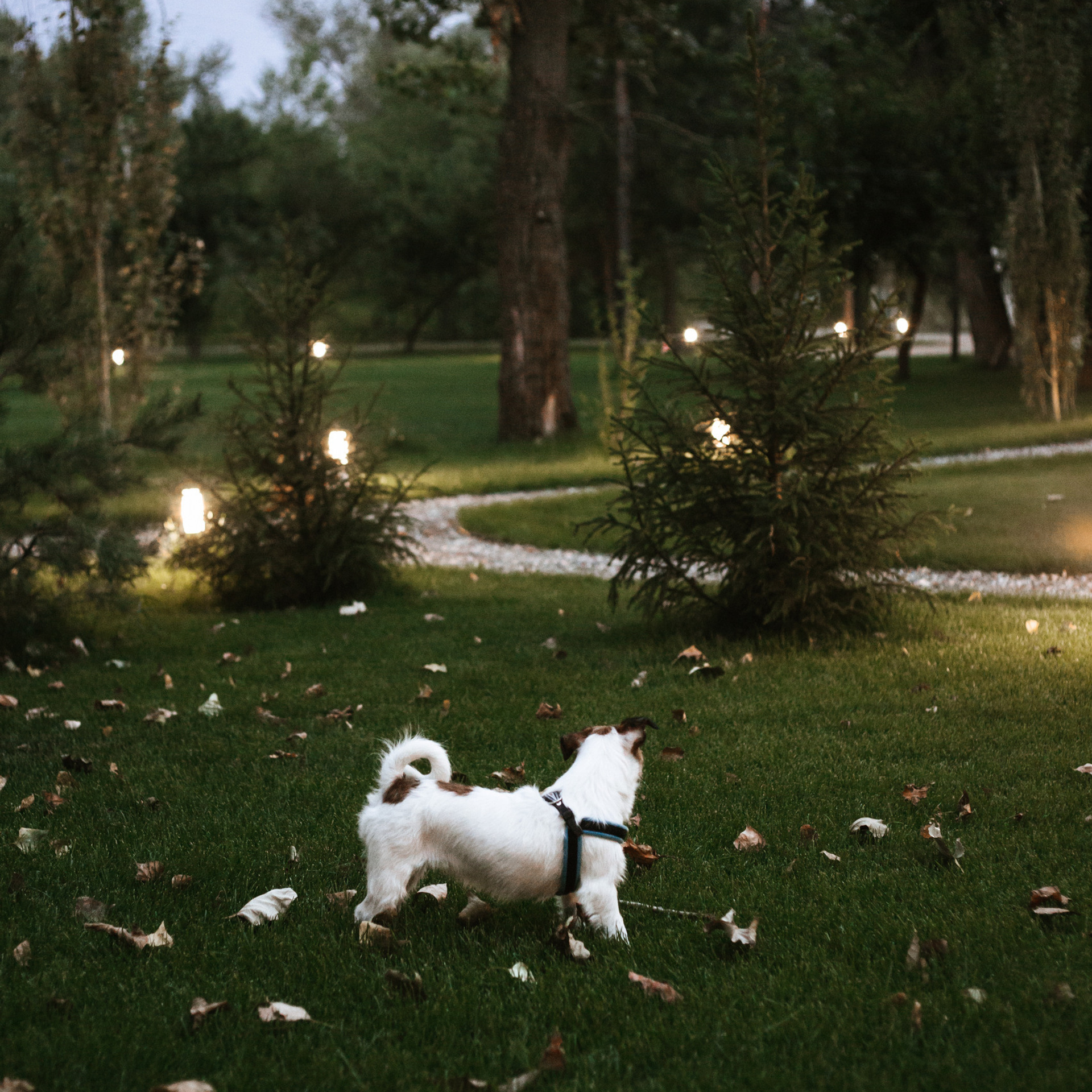 Отзывы. Фотограф в Волгограде и Москве | Анастасия Лаврова