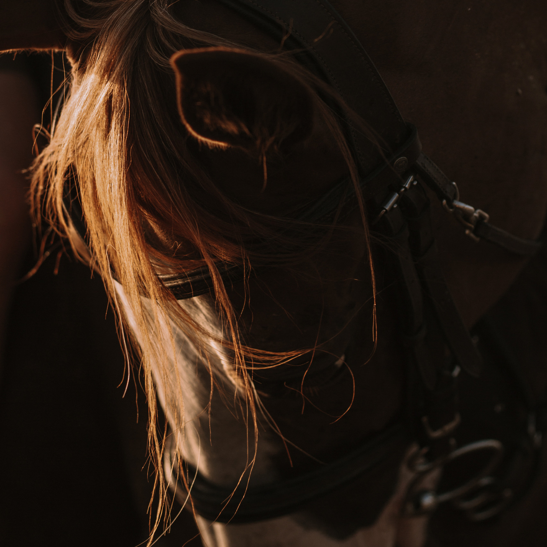 Отзывы. Фотограф в Волгограде и Москве | Анастасия Лаврова