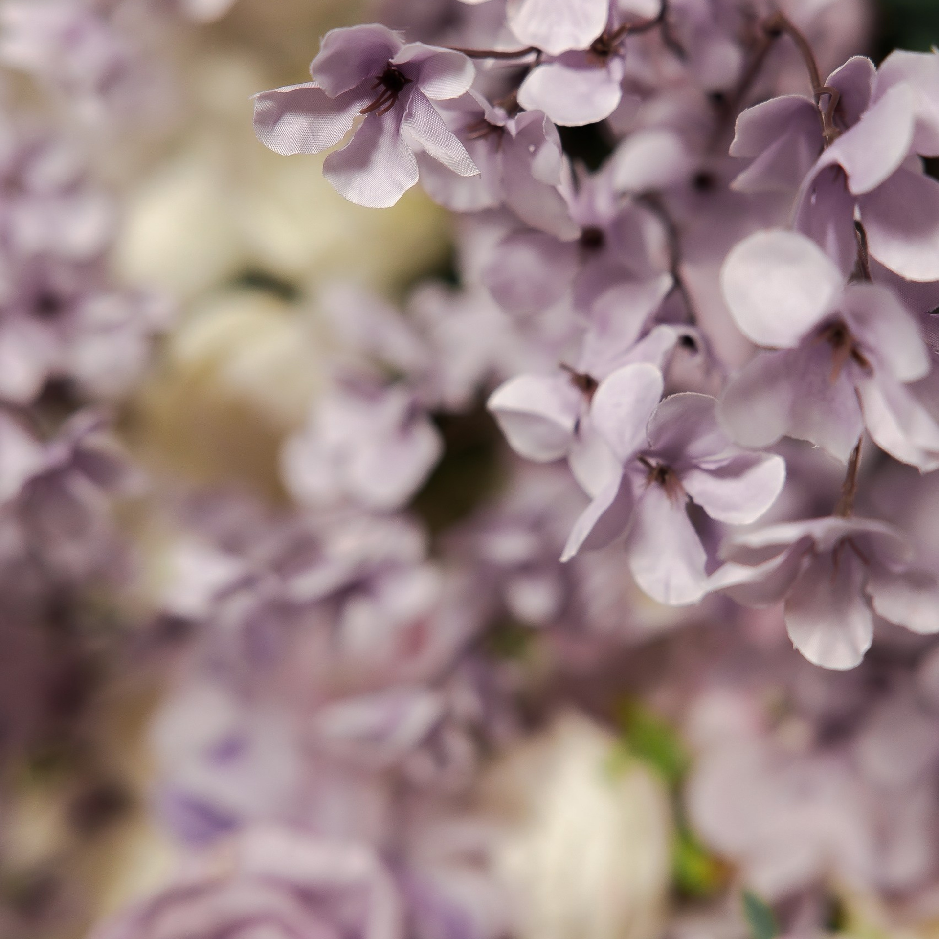 Отзывы. Свадебный фотограф Вало Мелконян|Город Сочи