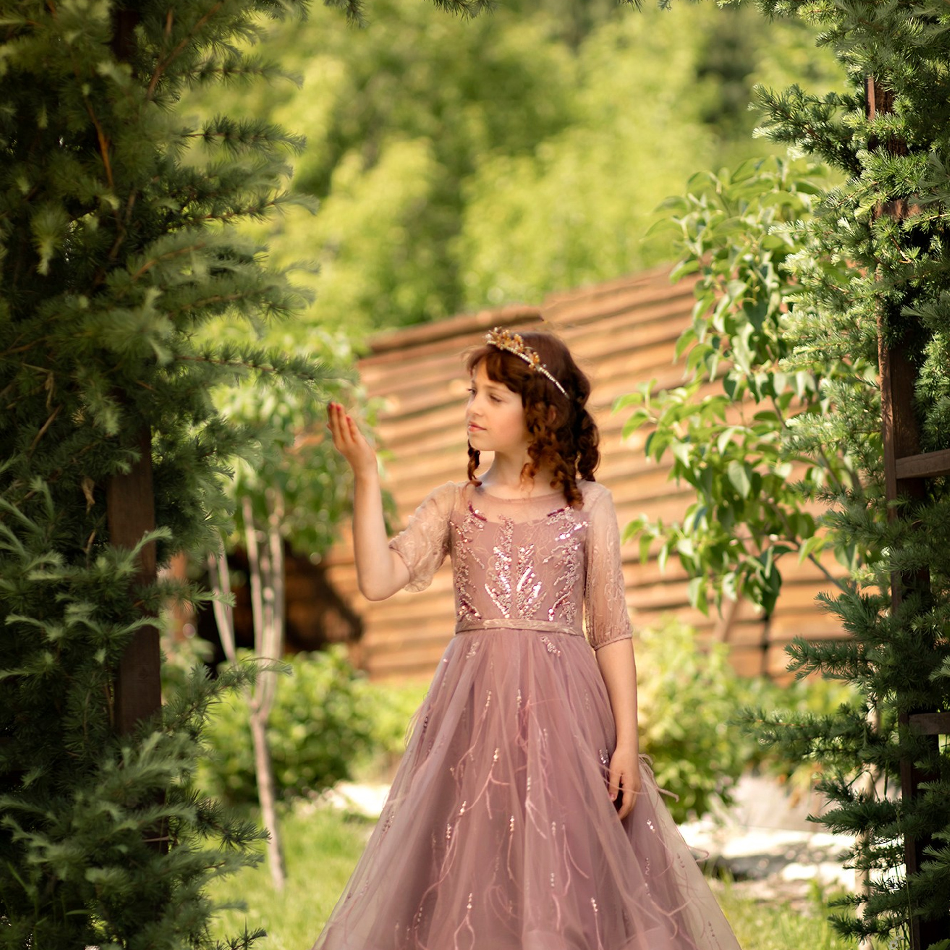 Проект «Принцесса»