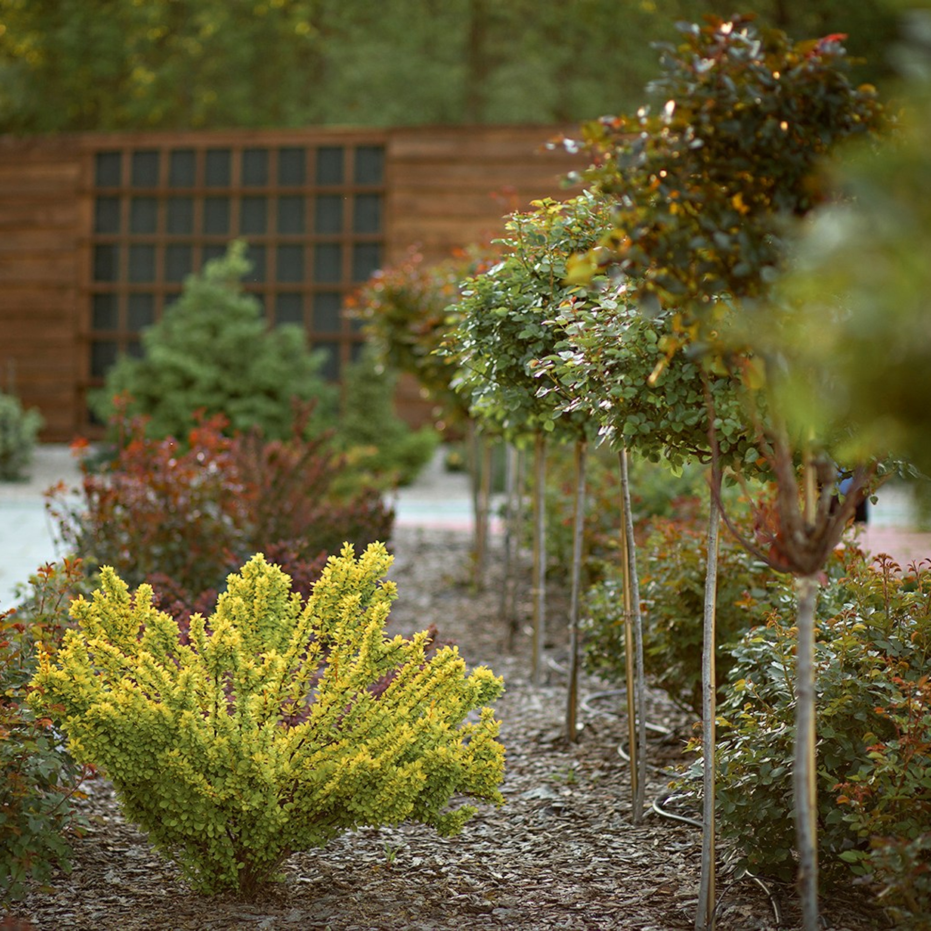 Фотографирую в парке-заповеднике «Купидон»
