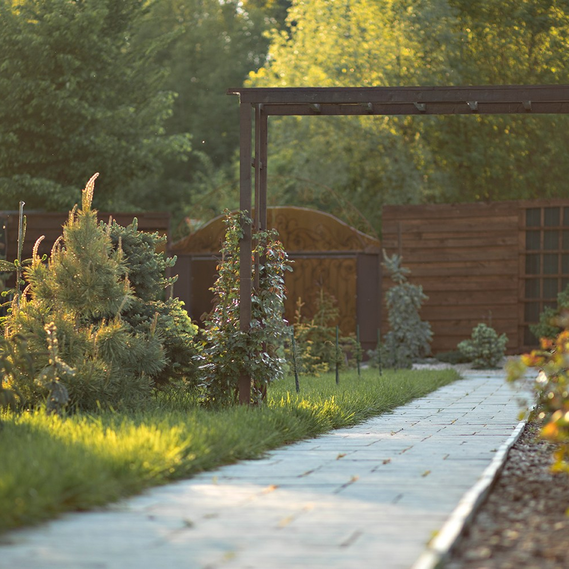 Фотографирую в парке-заповеднике «Купидон»