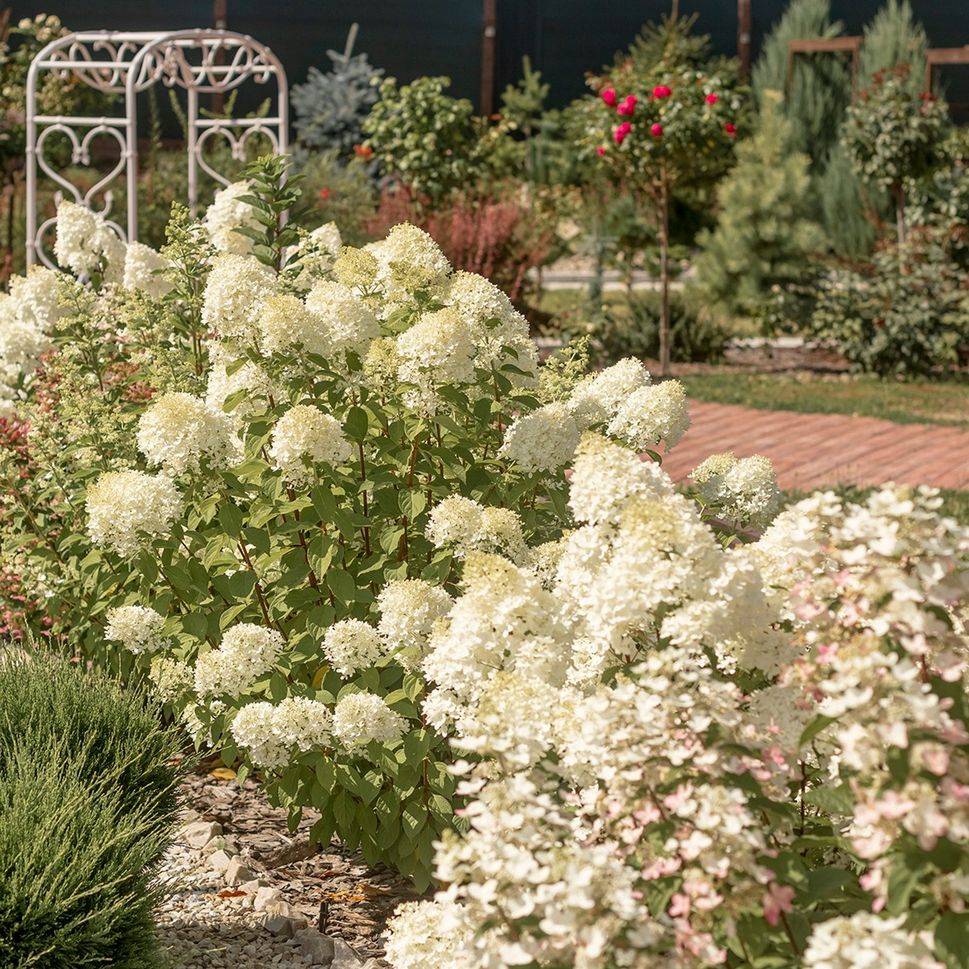Фотографирую в парке-заповеднике «Купидон»