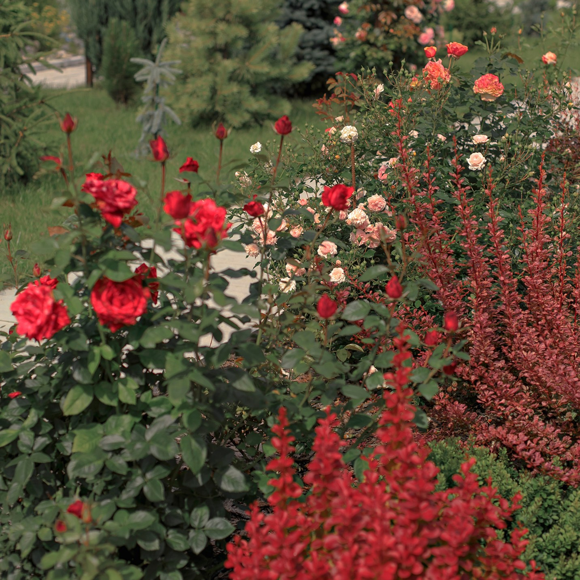 Фотографирую в парке-заповеднике «Купидон»