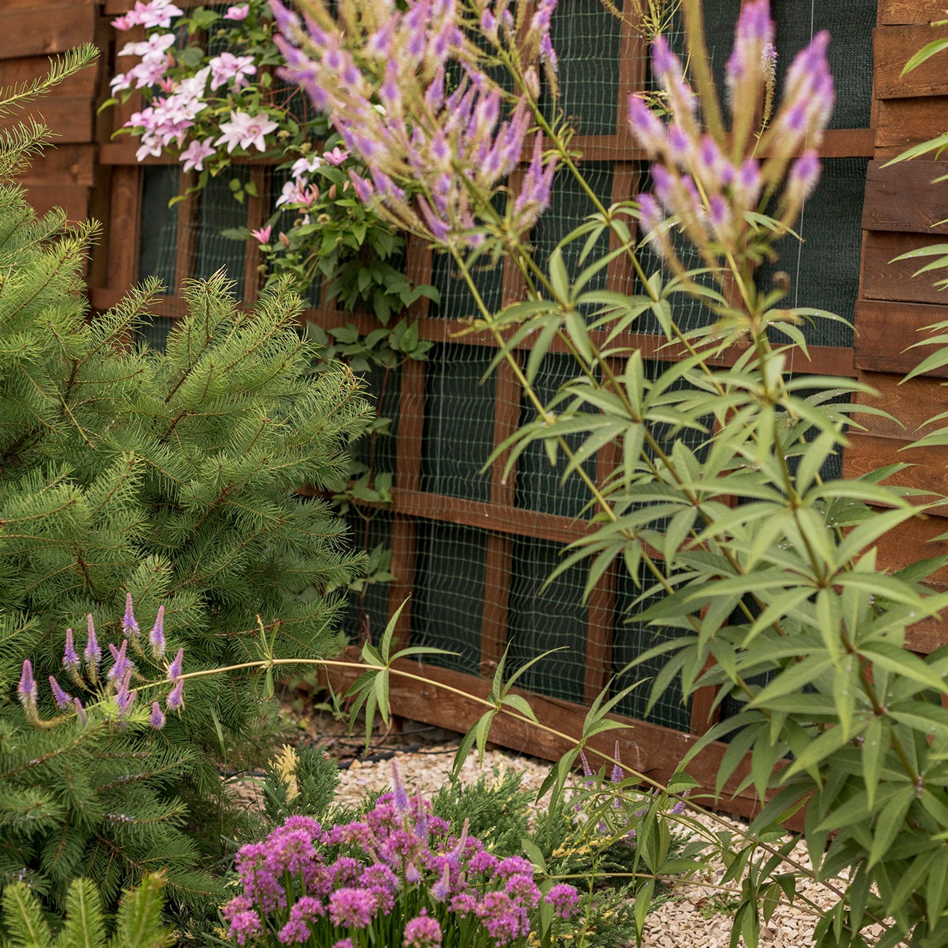 Фотографирую в парке-заповеднике «Купидон»