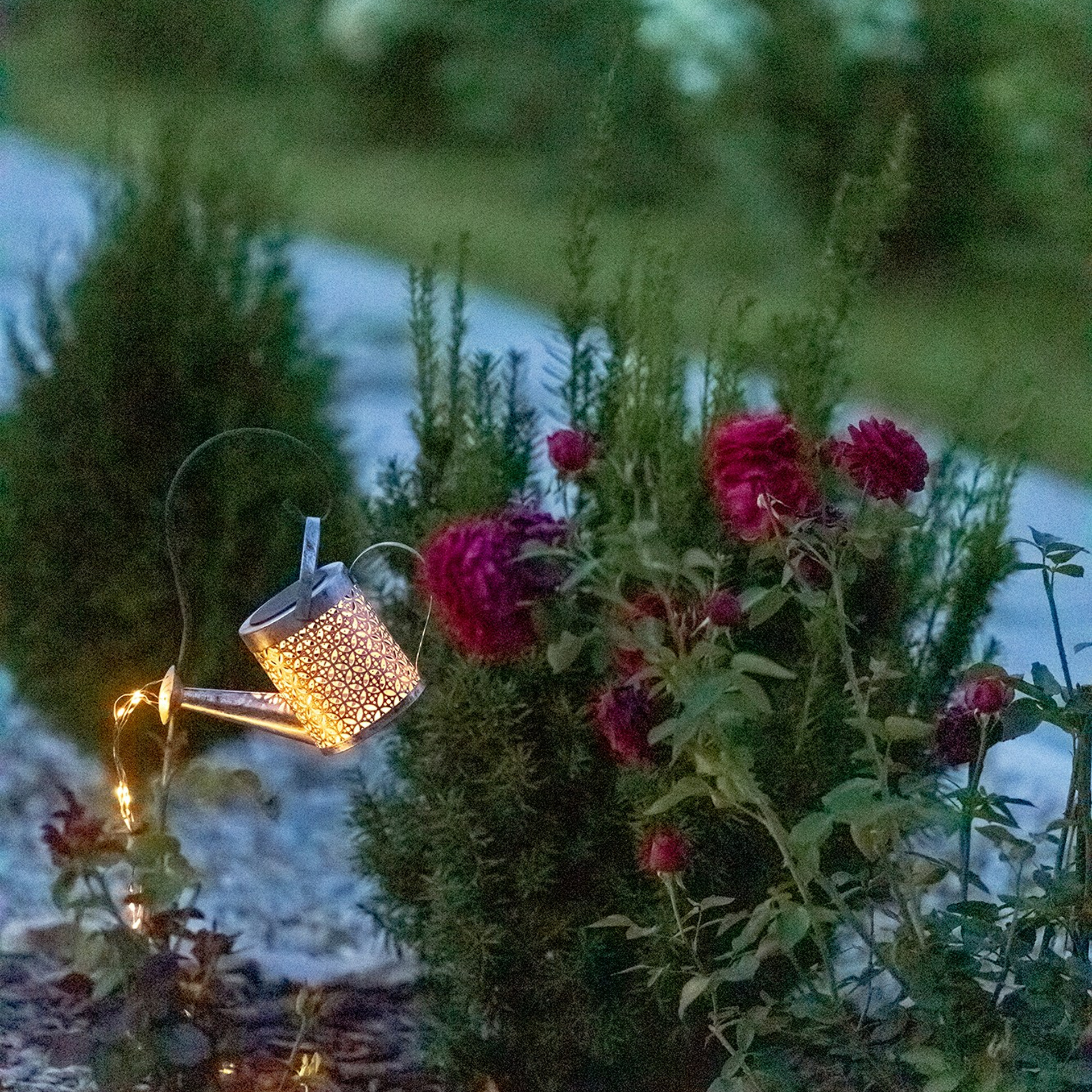 Фотографирую в парке-заповеднике «Купидон»