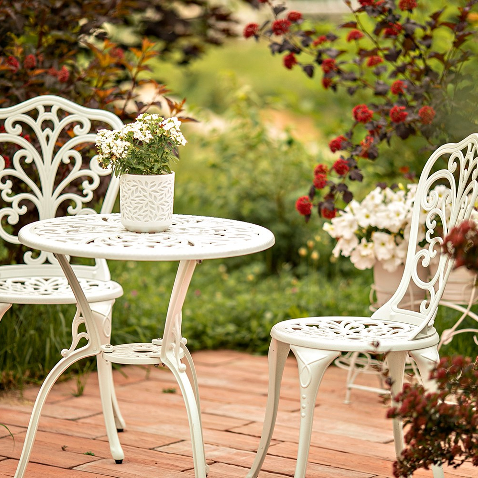 Фотографирую в парке-заповеднике «Купидон»