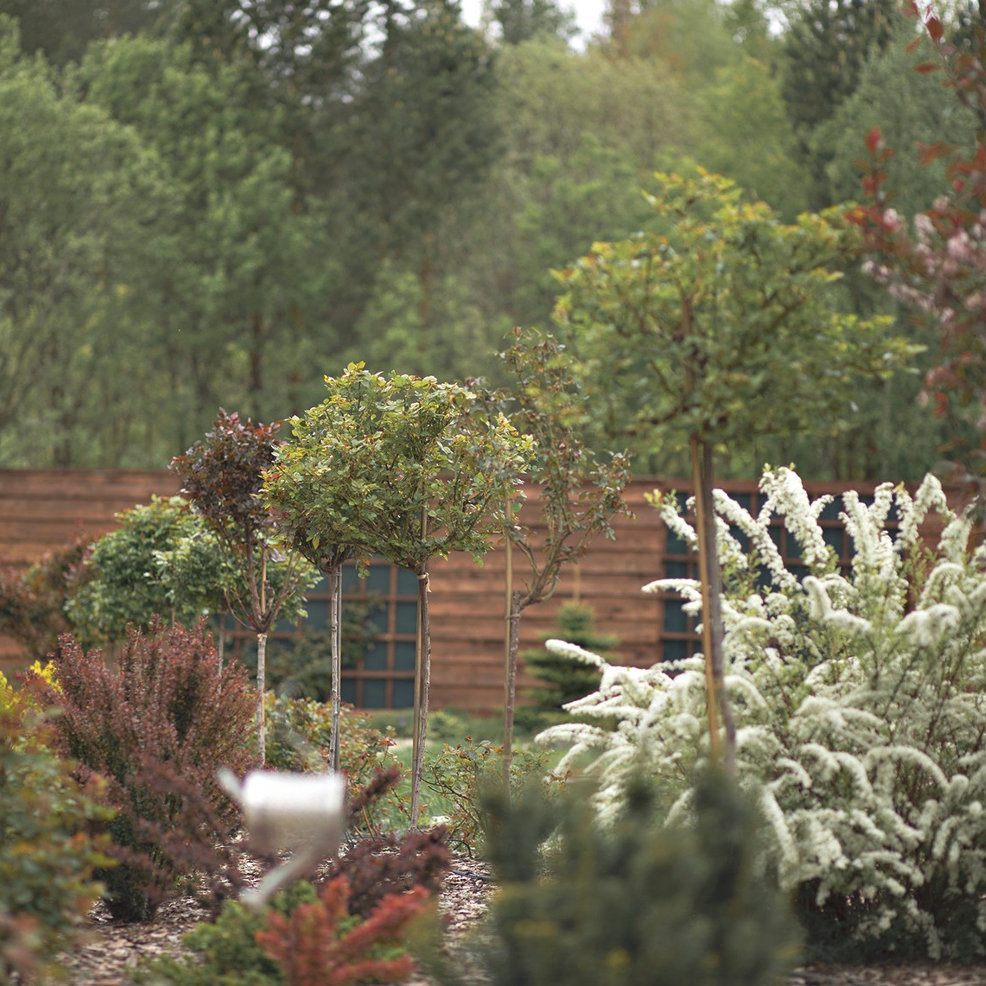 Фотографирую в парке-заповеднике «Купидон»