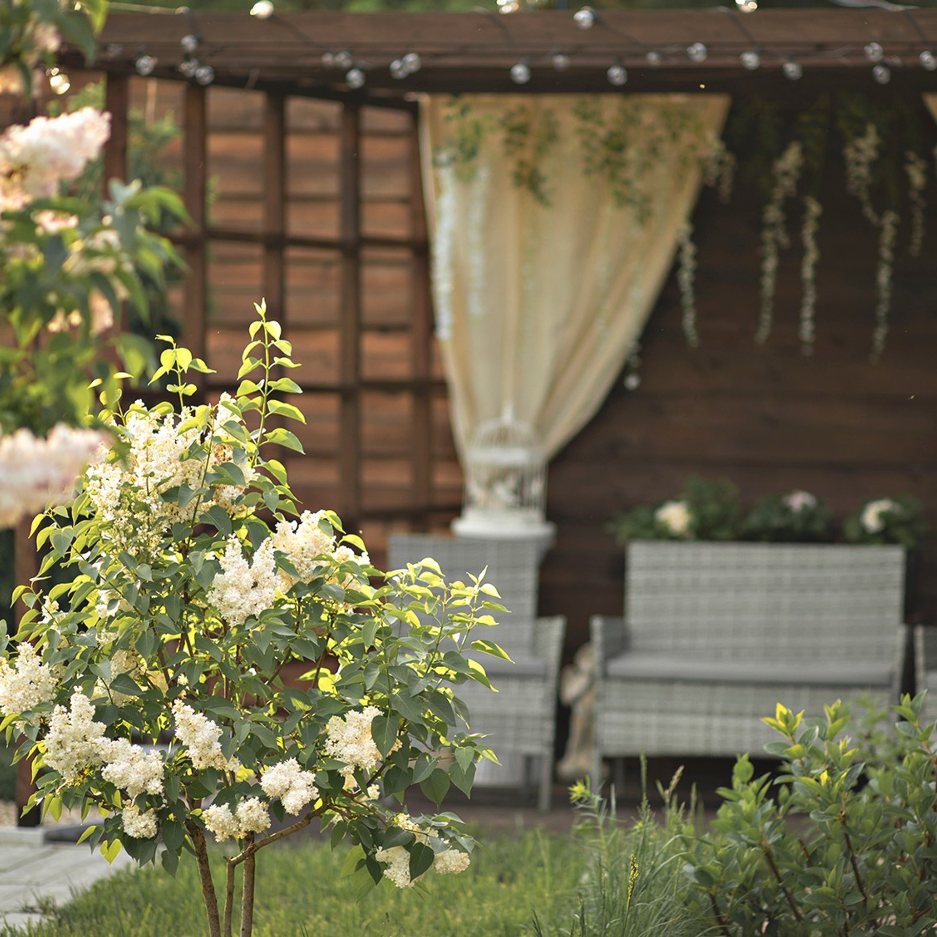 Фотографирую в парке-заповеднике «Купидон»