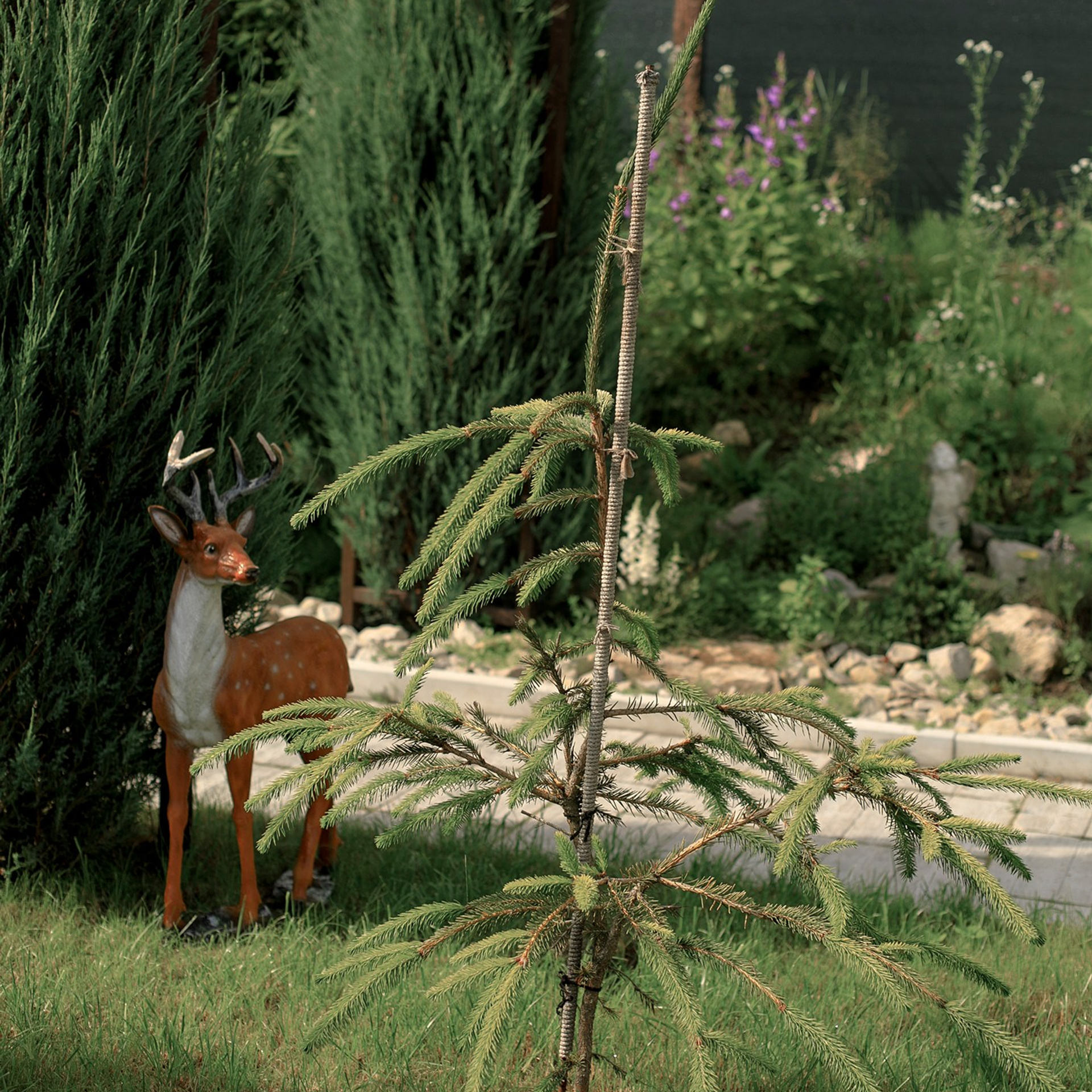 Фотографирую в парке-заповеднике «Купидон»