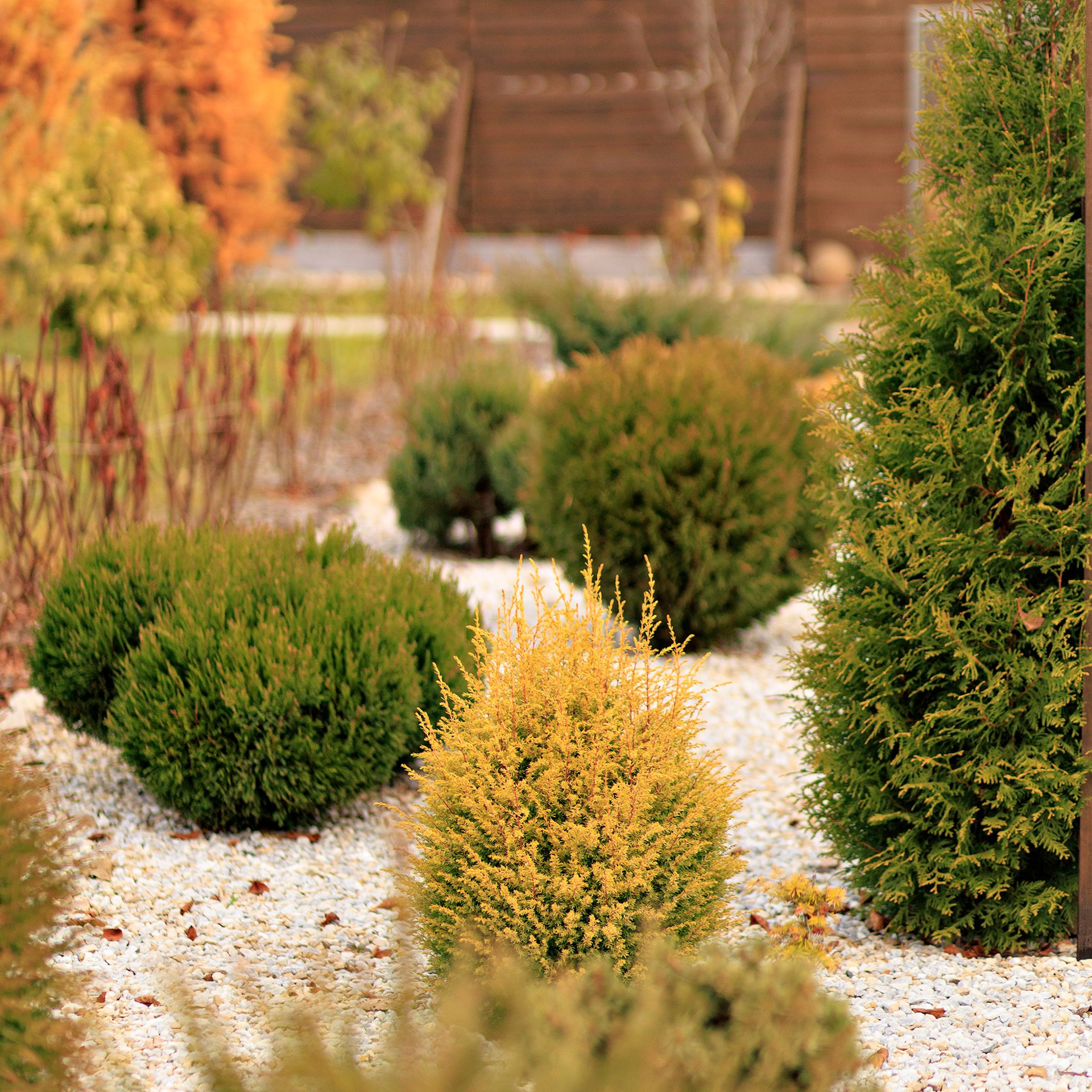 Фотографирую в парке-заповеднике «Купидон»