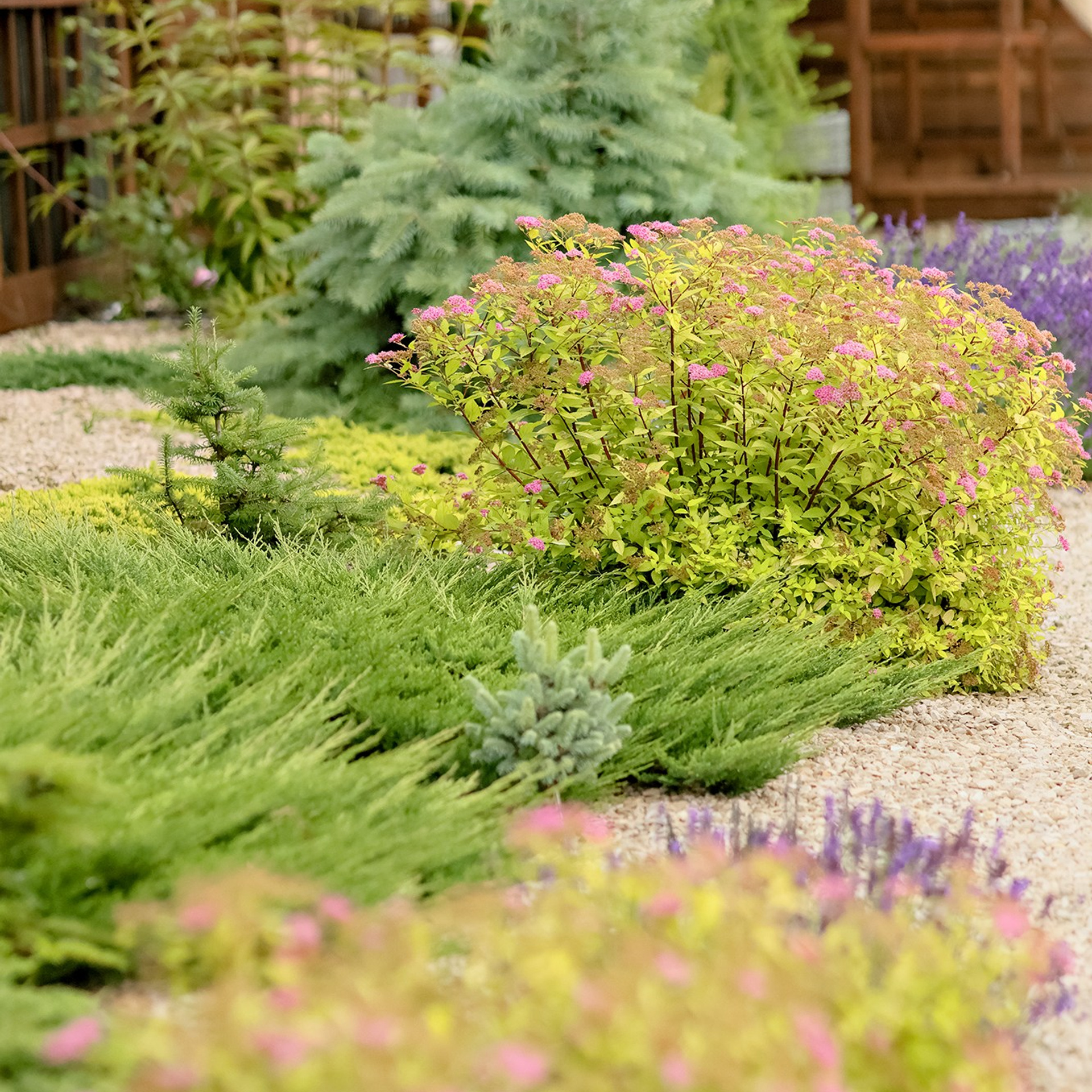 Фотографирую в парке-заповеднике «Купидон»