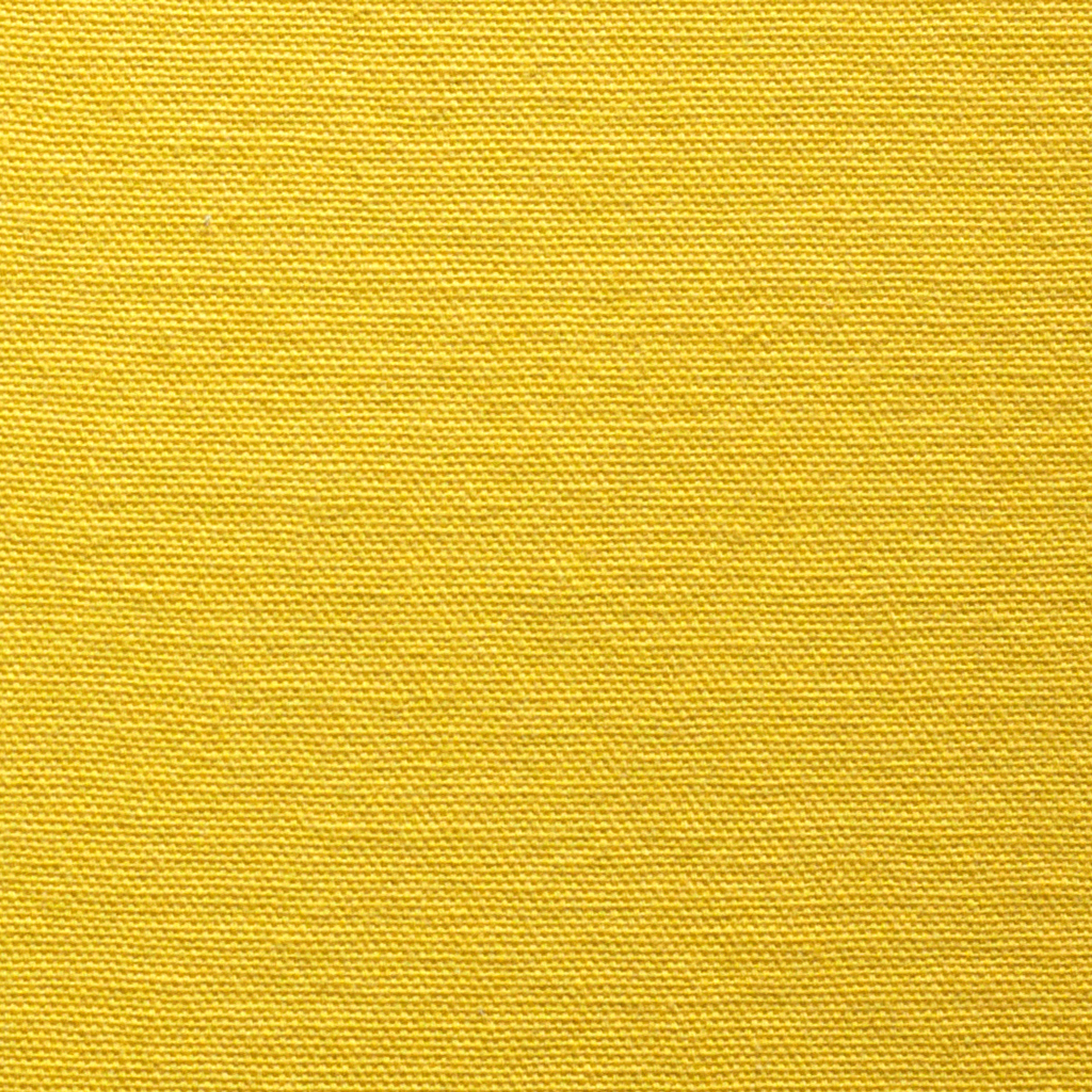 Испанский хлопок. Павел Будаев фотограф pro Улан-Удэ_Агинское_Иркутск