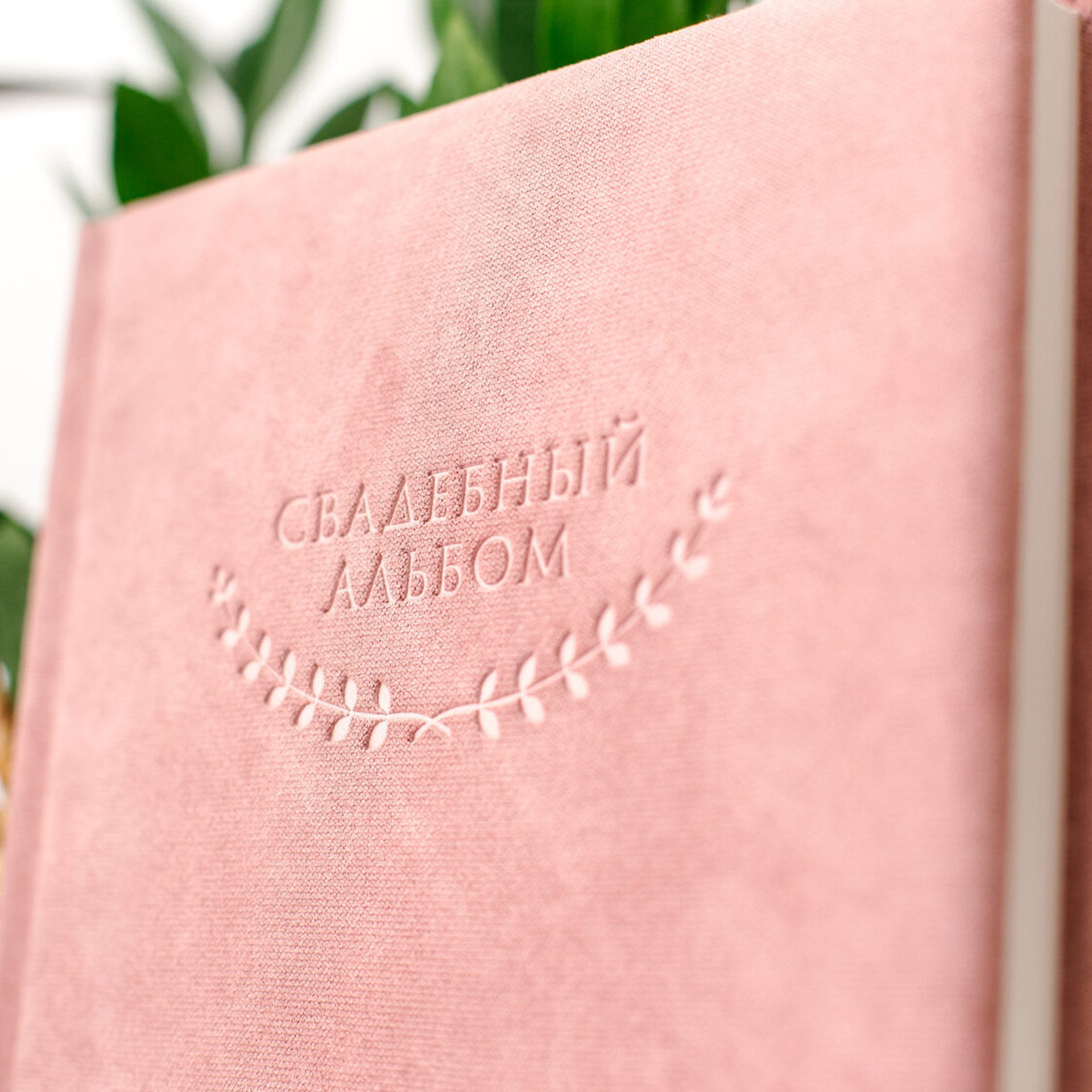 Французская ткань Furor классик. Павел Будаев фотограф pro Улан-Удэ_Агинское_Иркутск