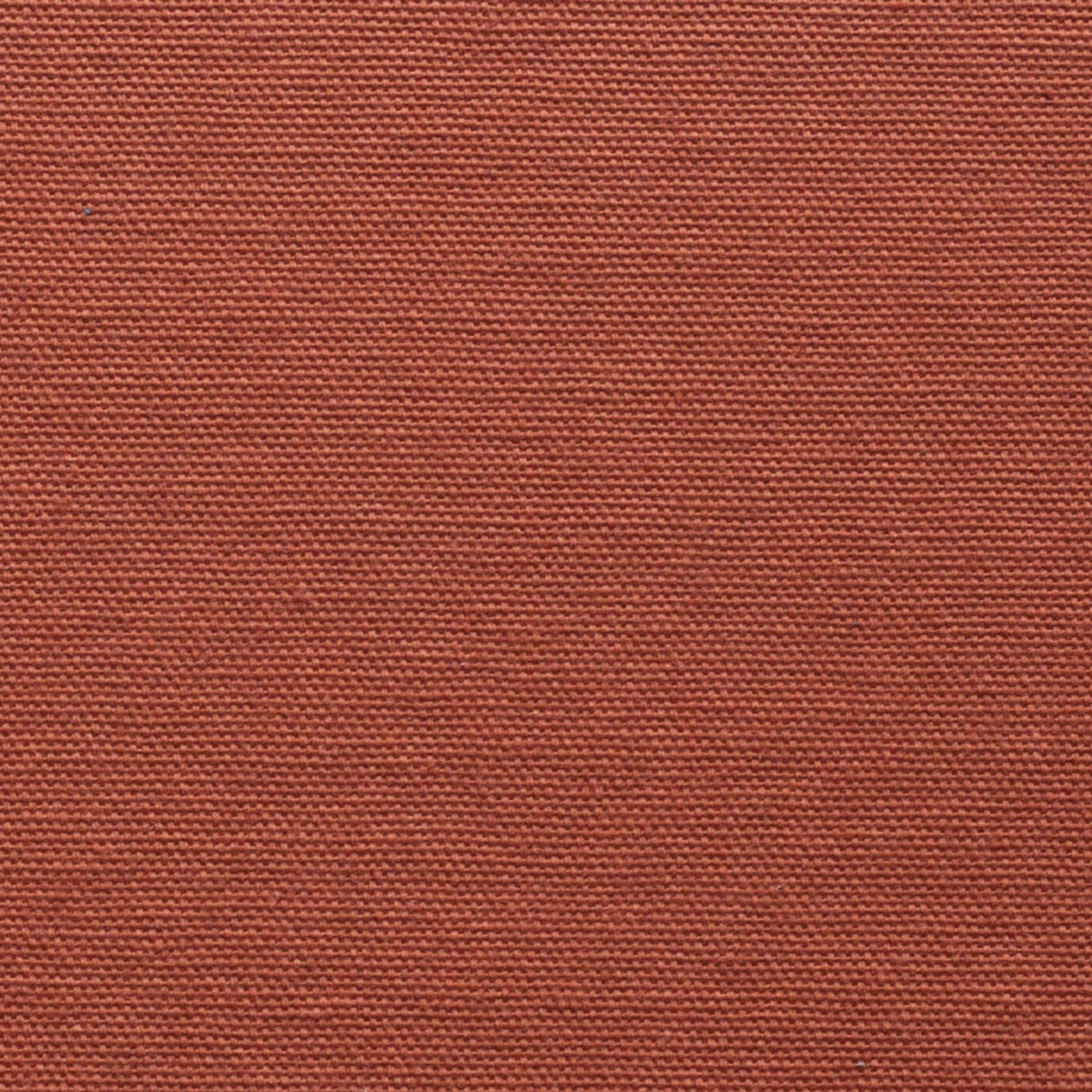 Испанский хлопок. Павел Будаев фотограф pro Улан-Удэ_Агинское_Иркутск