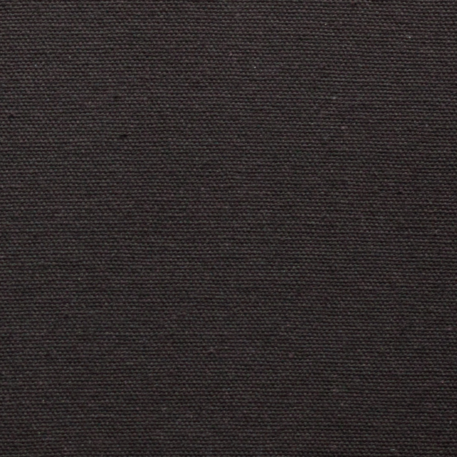 Испанский хлопок. Павел Будаев фотограф pro Улан-Удэ_Агинское_Иркутск