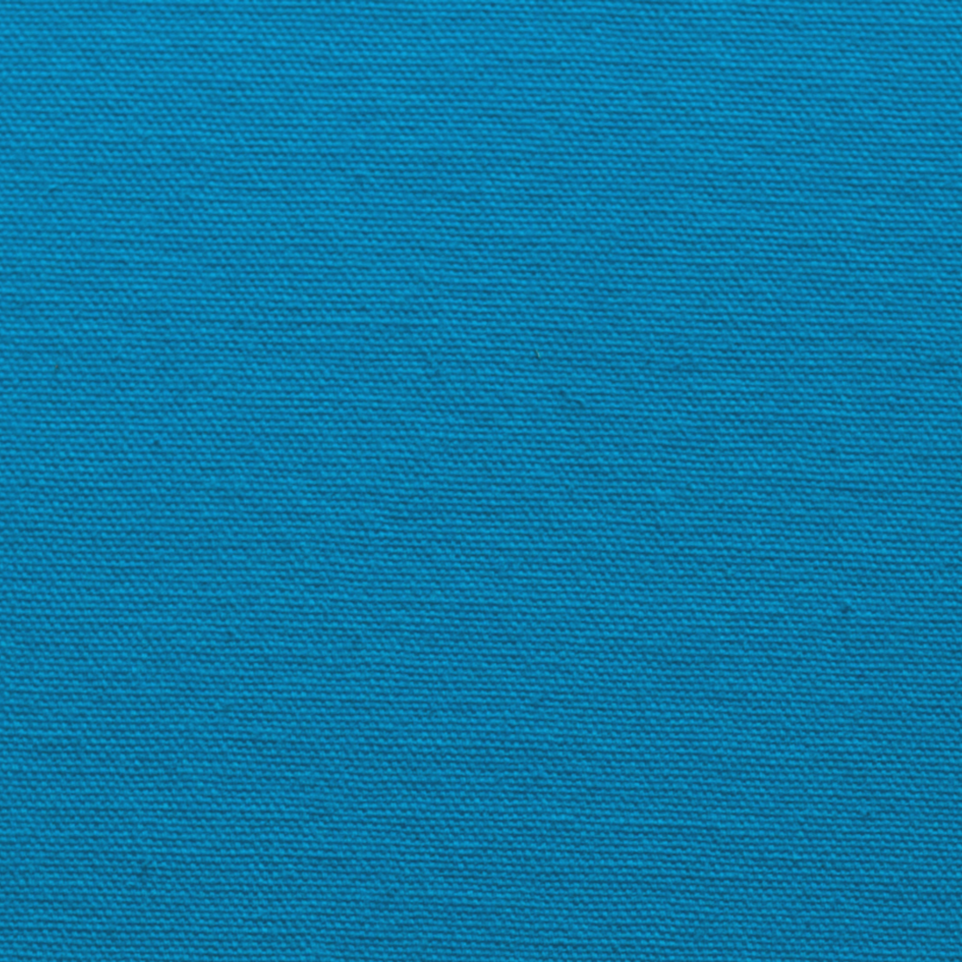 Испанский хлопок. Павел Будаев фотограф pro Улан-Удэ_Агинское_Иркутск