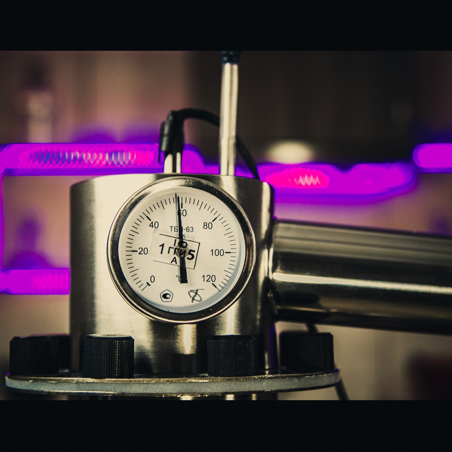 Предметка. Видеограф Добромыслов