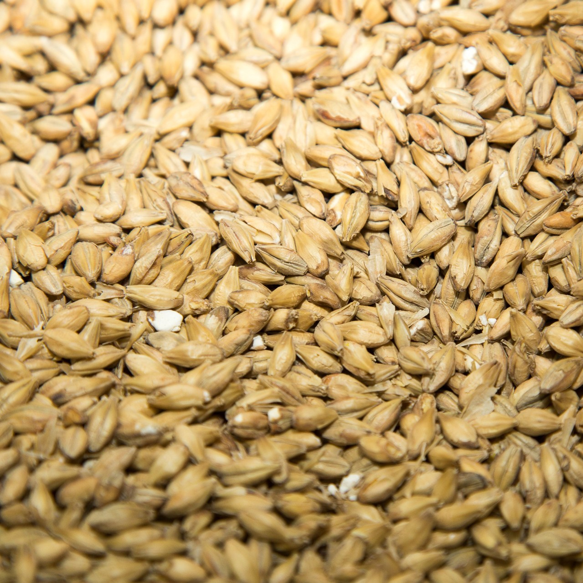 Предметка. Видеограф Добромыслов