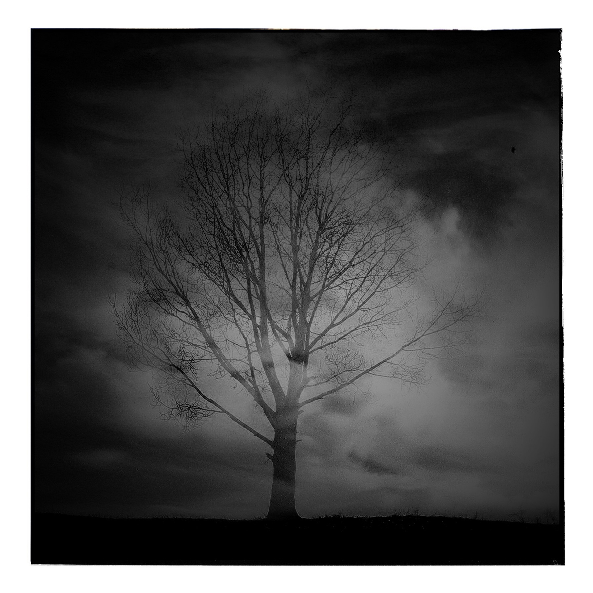 Ранние работы. 2003-2004. Евгений Курсков