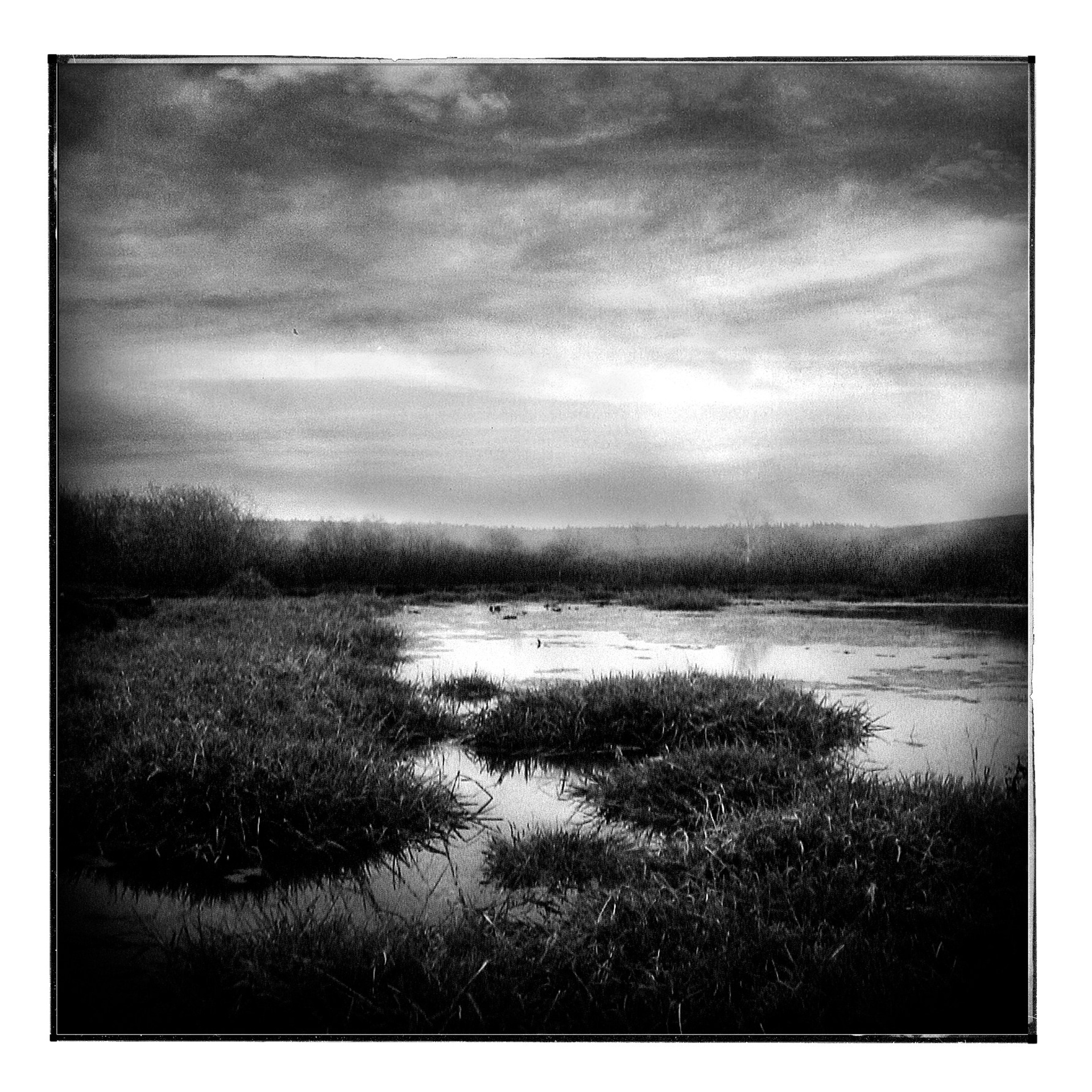 Ранние работы. 2003-2004. Евгений Курсков