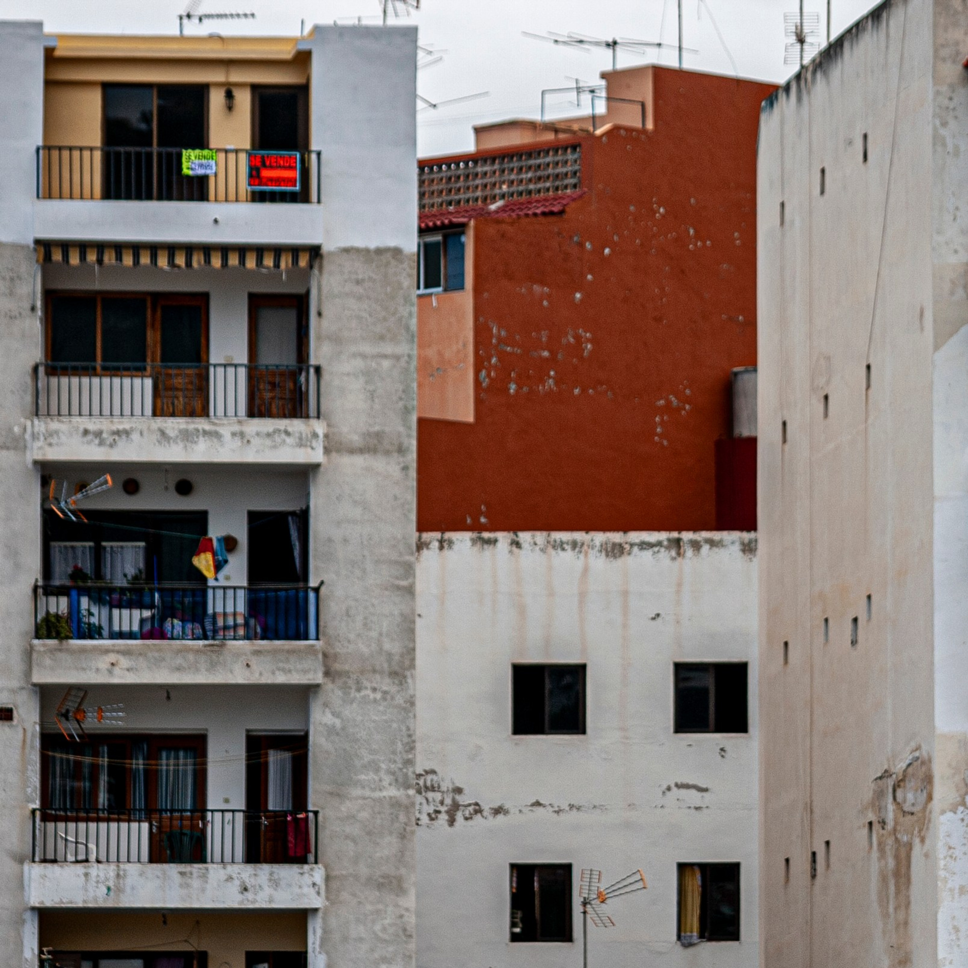 Канары. 2010. Евгений Курсков