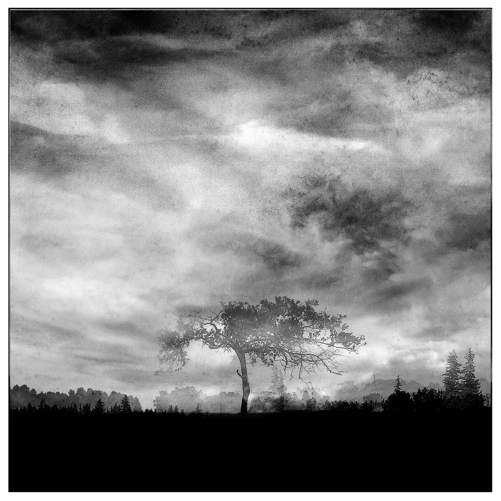 Ранние работы. 2003-2004. Евгений Курсков