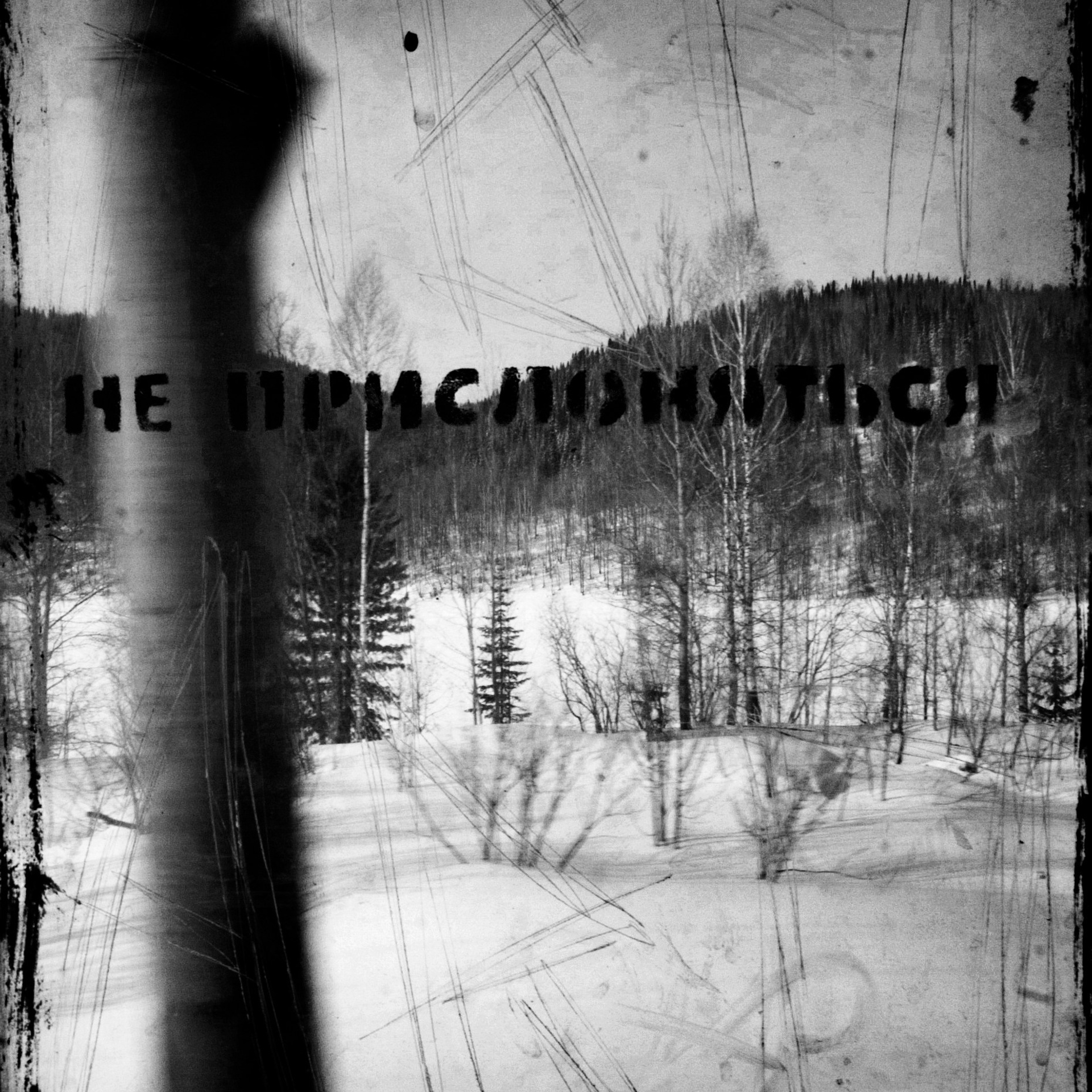 BW. 2003-2025. Евгений Курсков