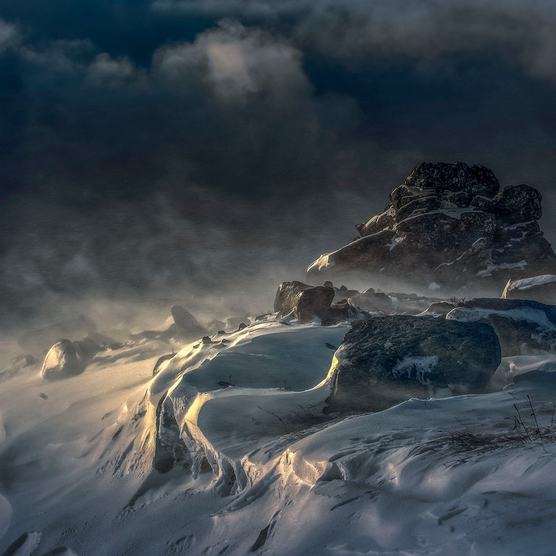 Фотограф Татьяна Борисова