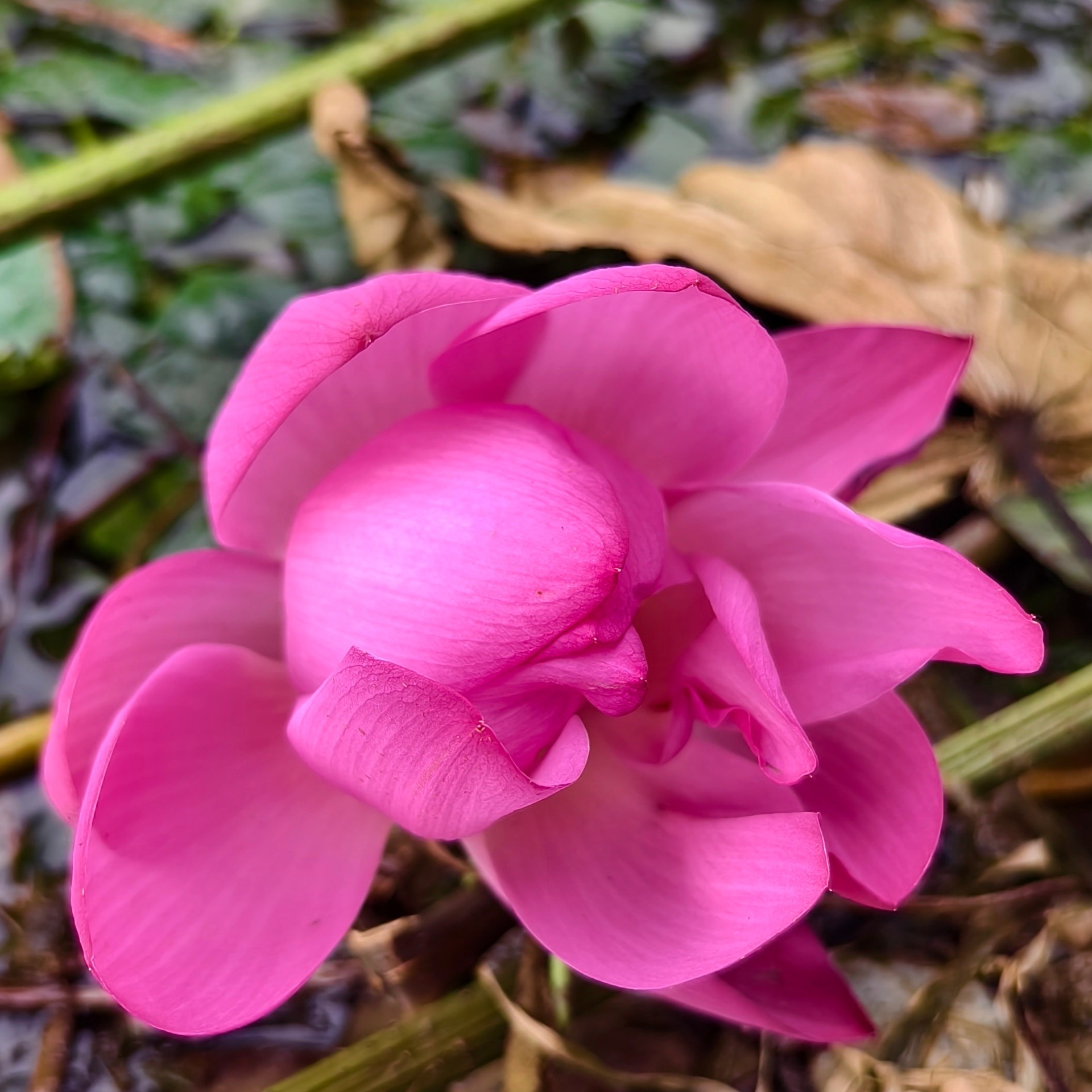 БЛОГ. Портретный фотограф в Краснодаре Надежда Елынко