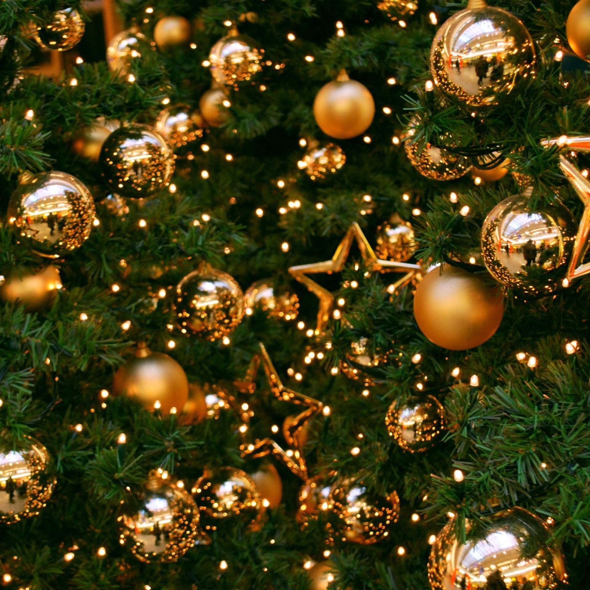 Отзывы. Фотограф новорожденных и семейный фотограф НСО г. Бердск Марина Львова