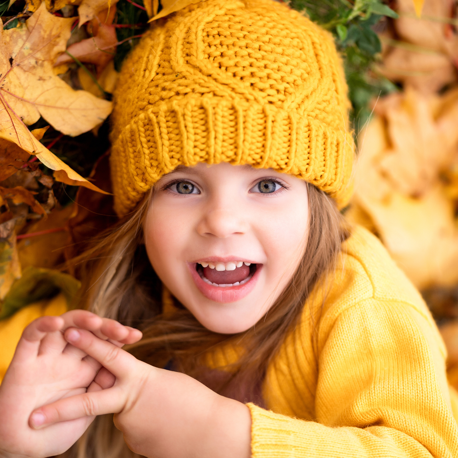 Цвета осени