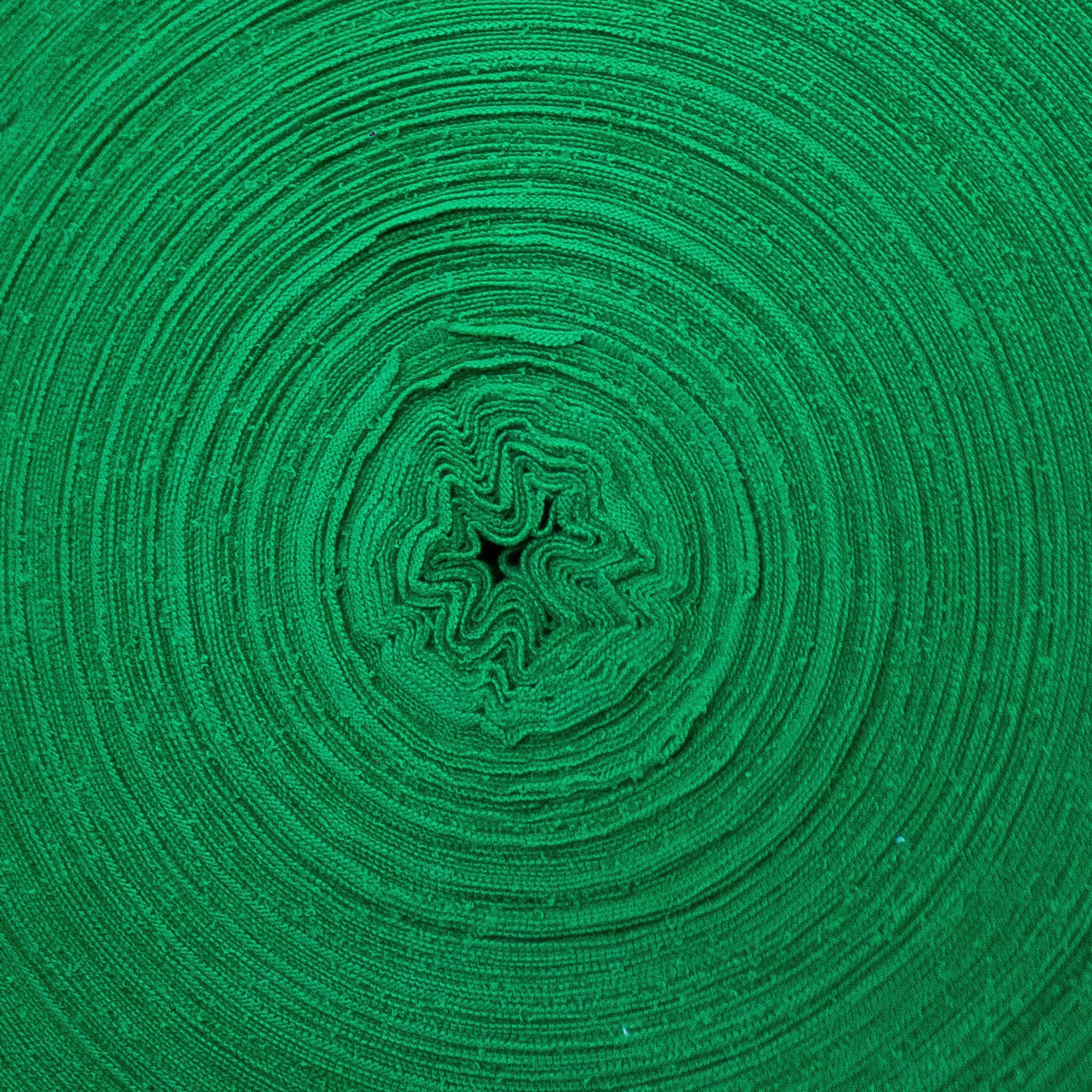 Отзывы. Семейная съемка — это красивый способ признаться своей семье в любви