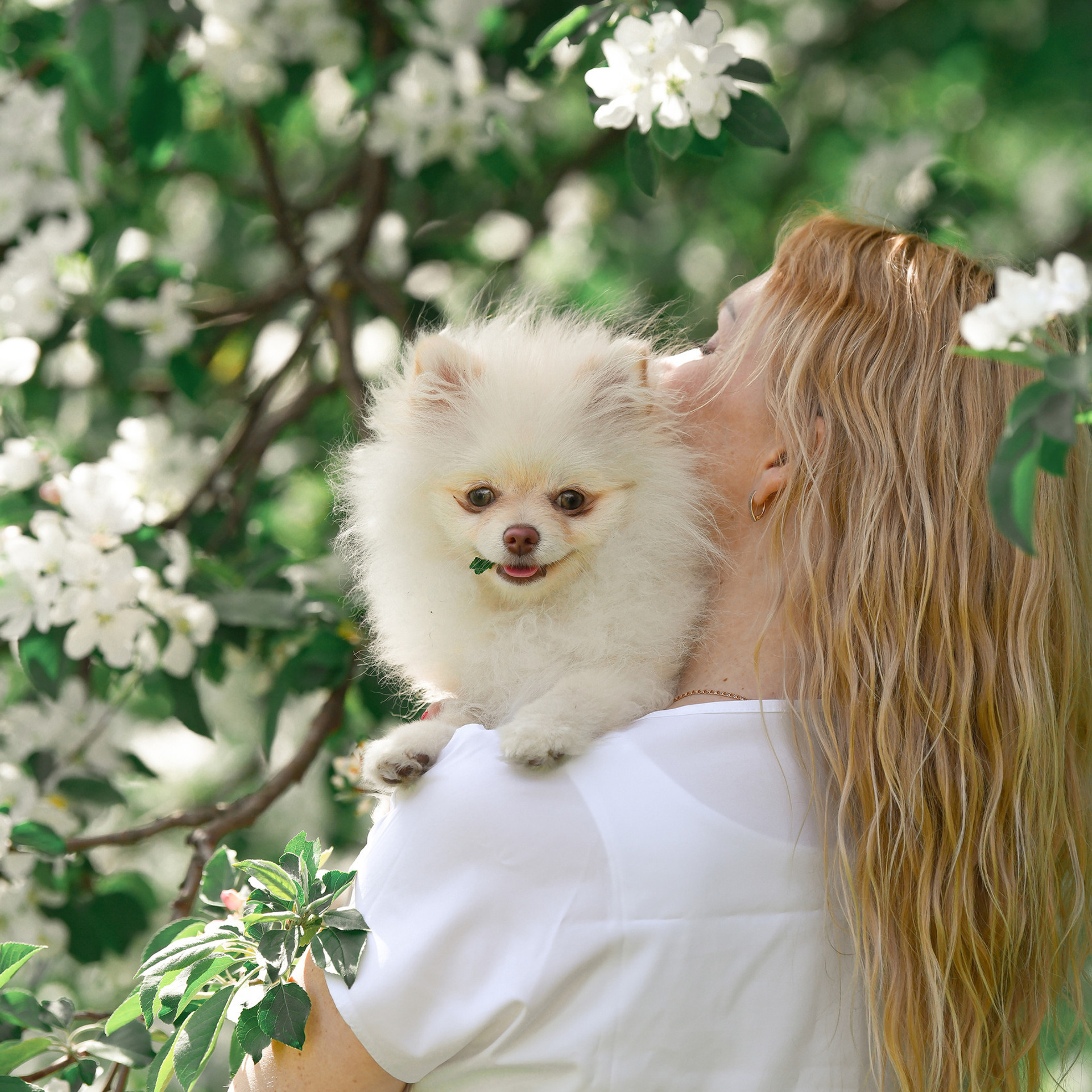 Отзывы. Sashkina.ru