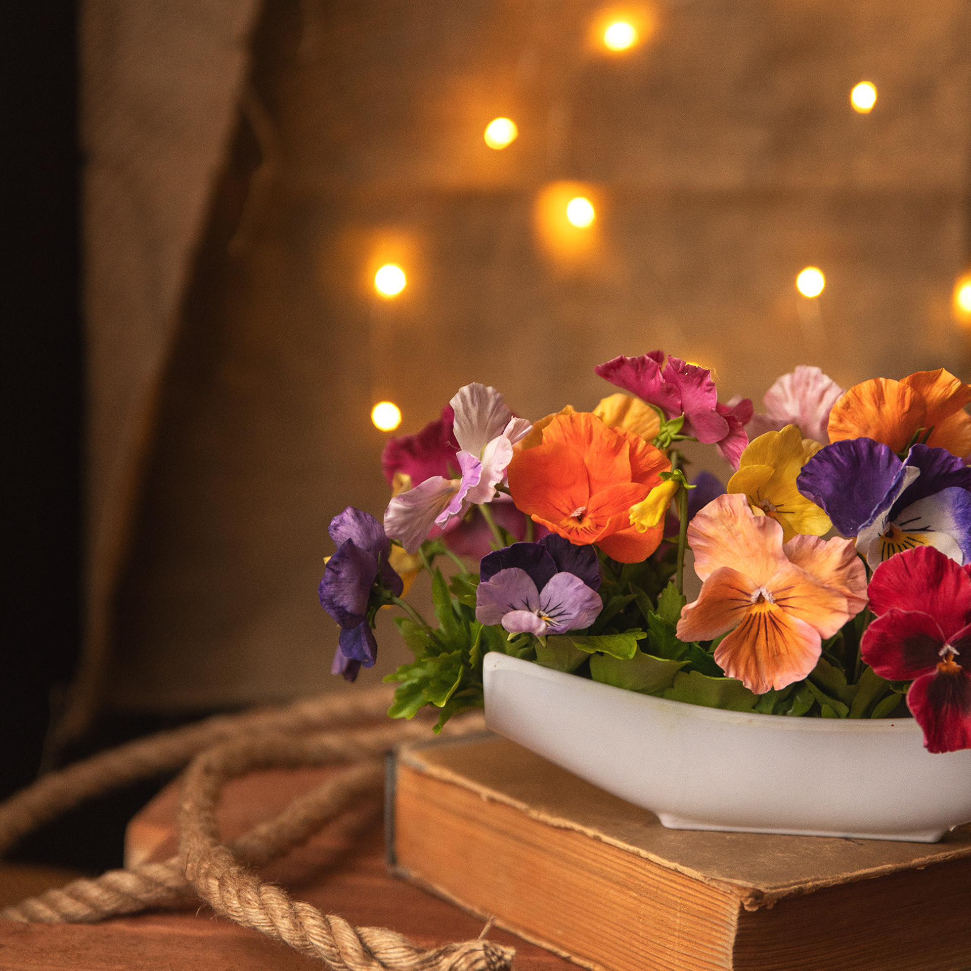 Предметная/Food съемка. Фотограф в Кронштадте и Санкт-Петербурге Анастасия Коваленко