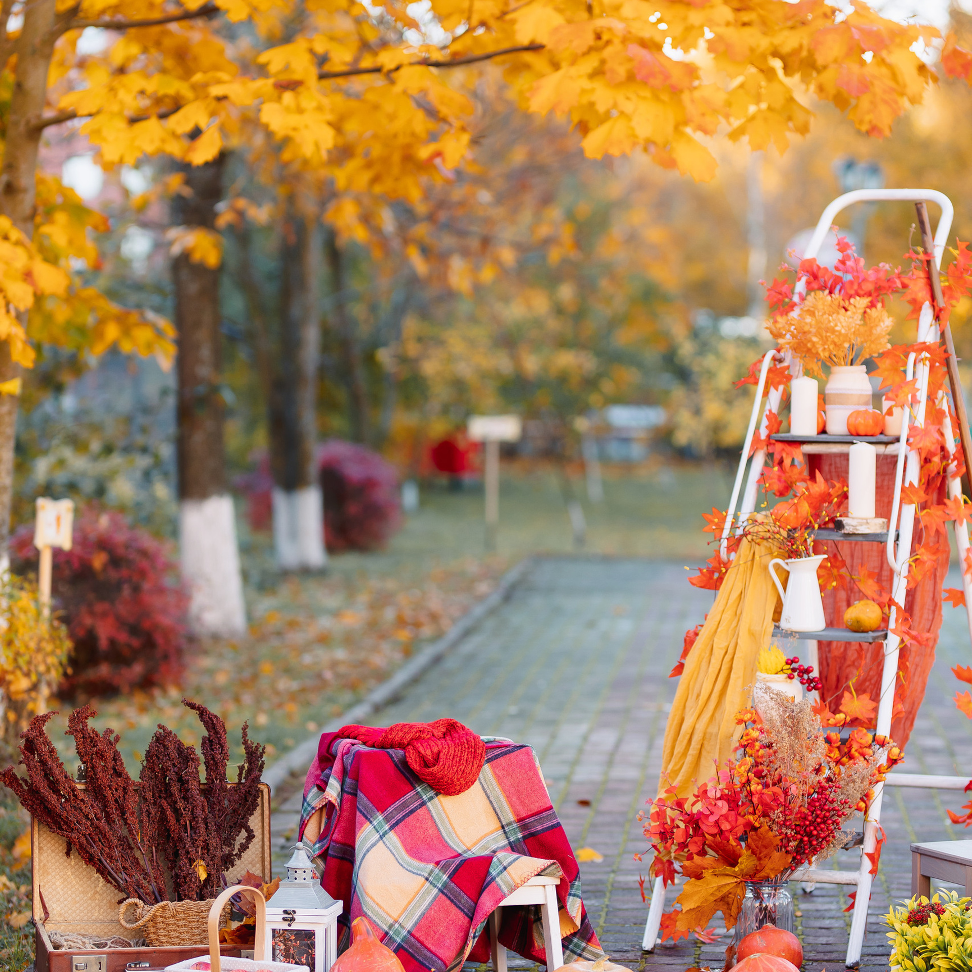 Отзывы. Фотограф в Кронштадте и Санкт-Петербурге Анастасия Коваленко