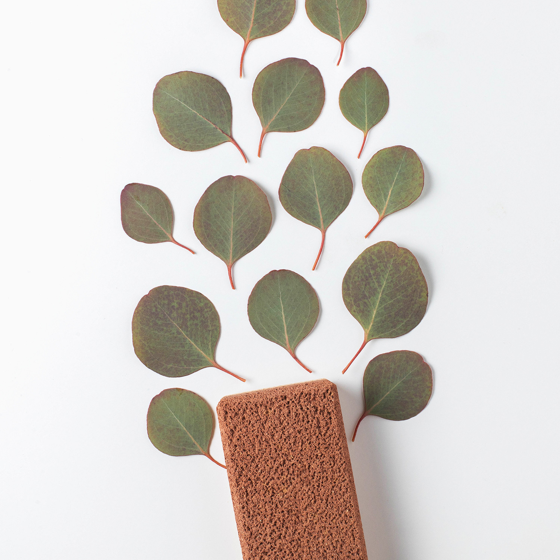 Предметная/Food съемка. Фотограф в Кронштадте и Санкт-Петербурге Анастасия Коваленко