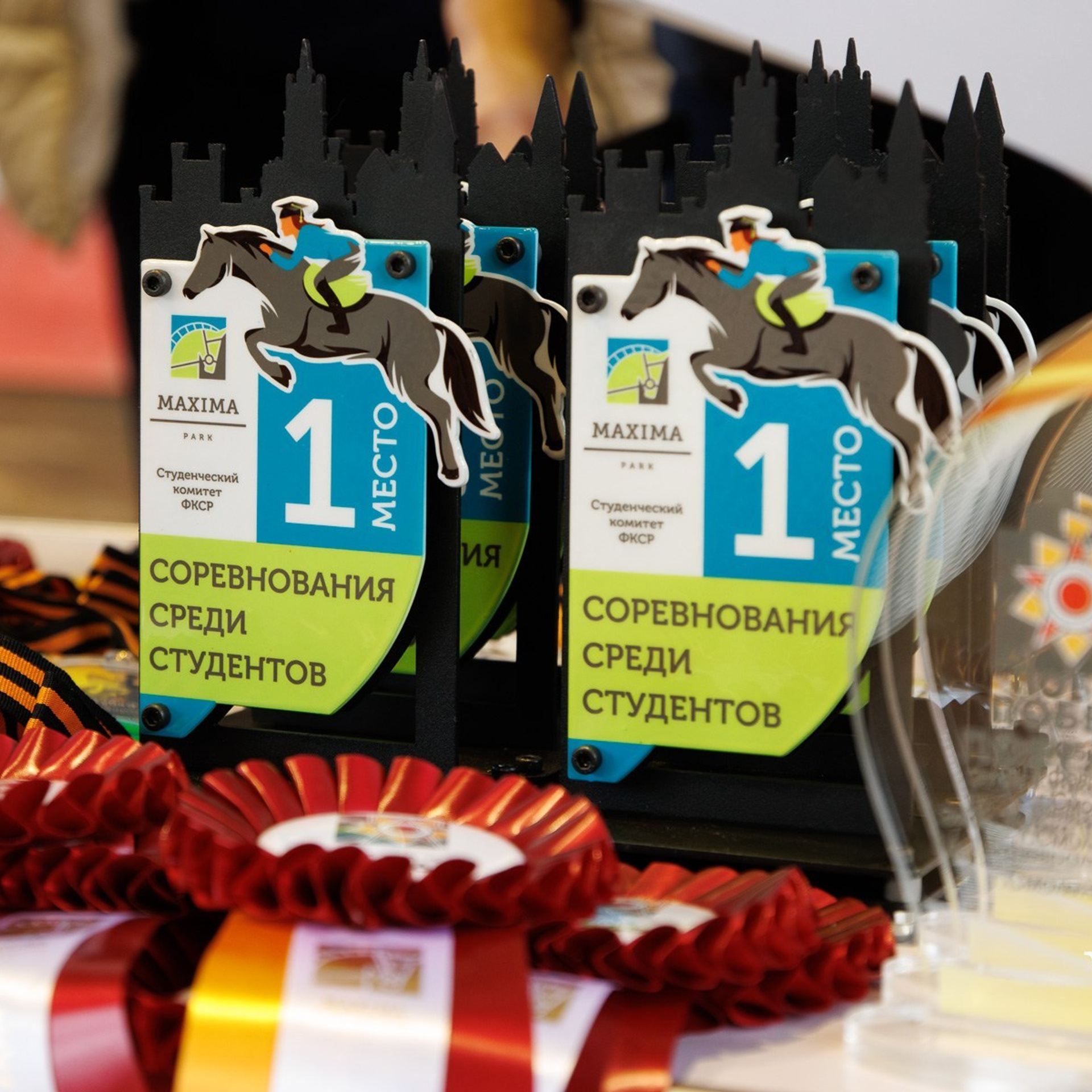 Отзывы. Спортивный фотограф Вадим Добедченков