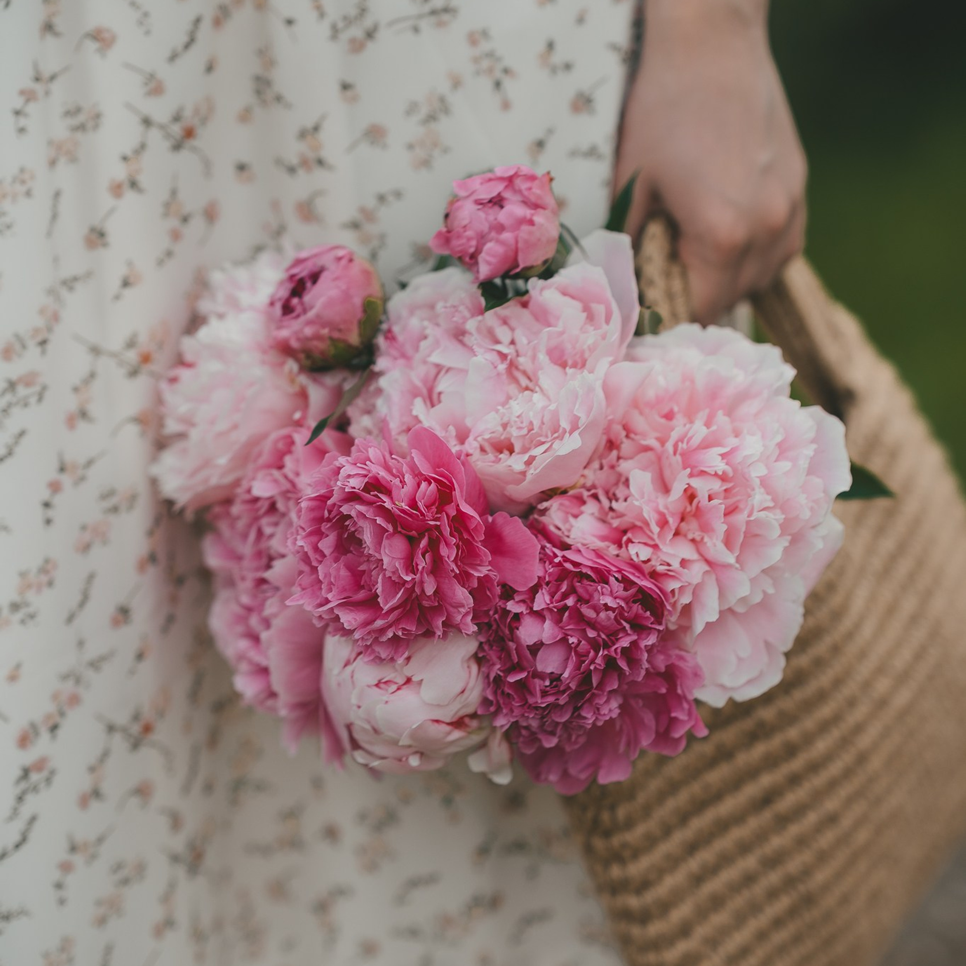 Маша и пионы