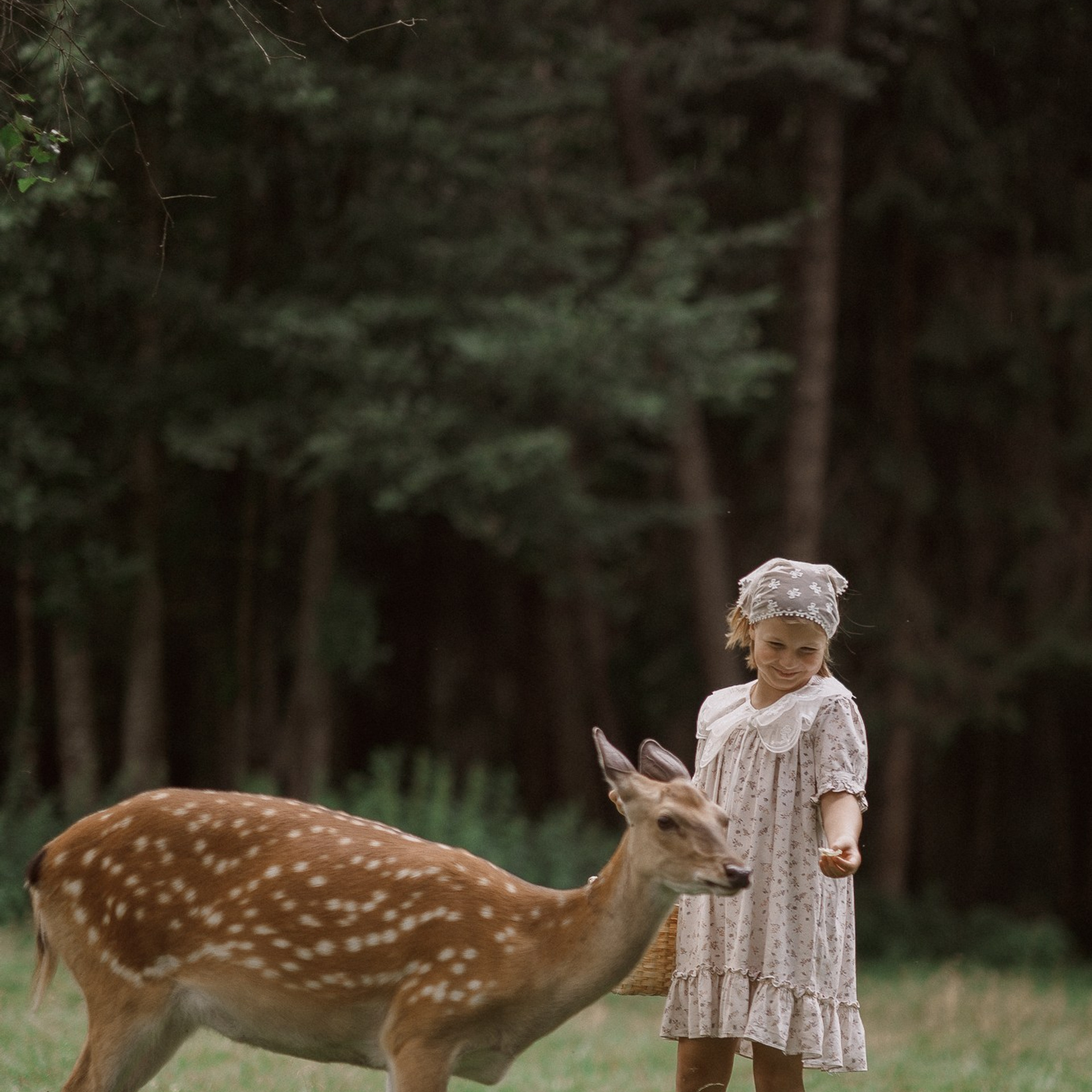 Фотосессия с&nbsp;оленями