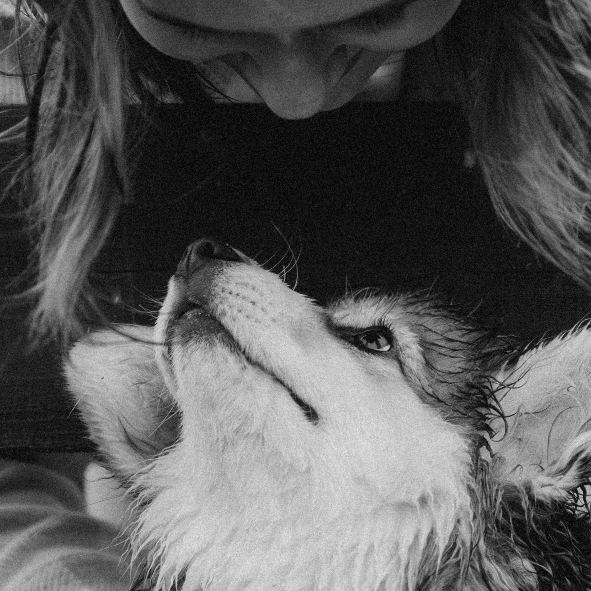 Влада и Мишель